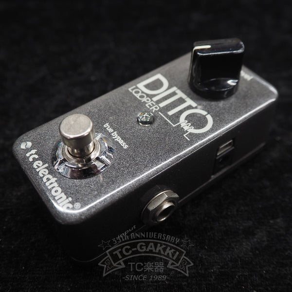 t.c. electronic DITTO LOOPER