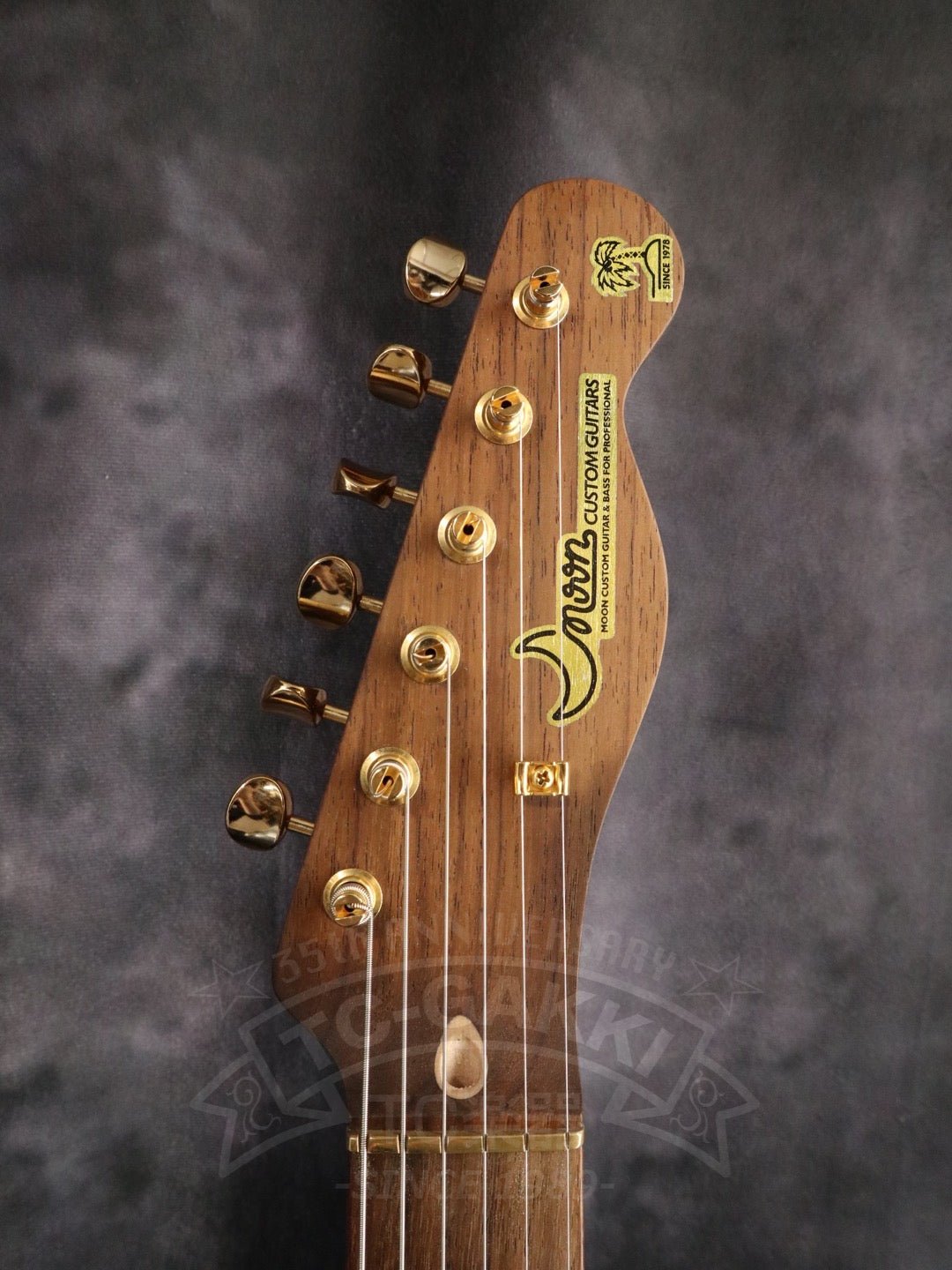 TE-C Rosewood Neck - TC楽器 - TCGAKKI