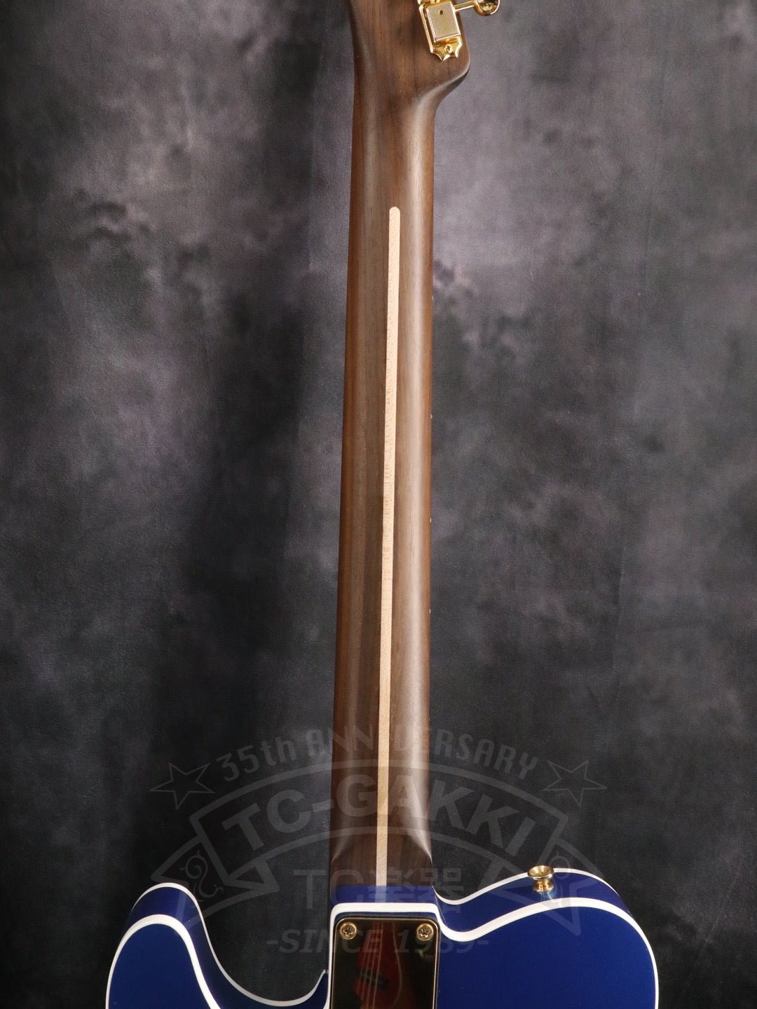 TE-C Rosewood Neck - TC楽器 - TCGAKKI