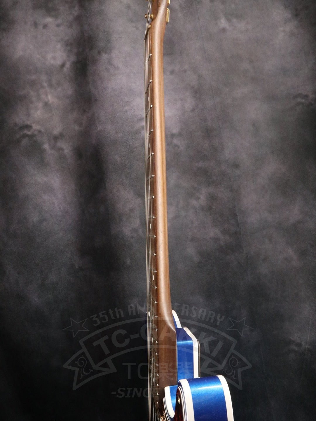 TE-C Rosewood Neck - TC楽器 - TCGAKKI