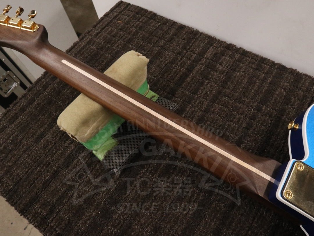 TE - C Rosewood Neck - TC楽器 - TCGAKKI