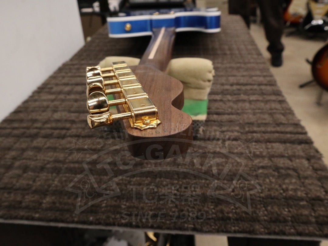 TE - C Rosewood Neck - TC楽器 - TCGAKKI