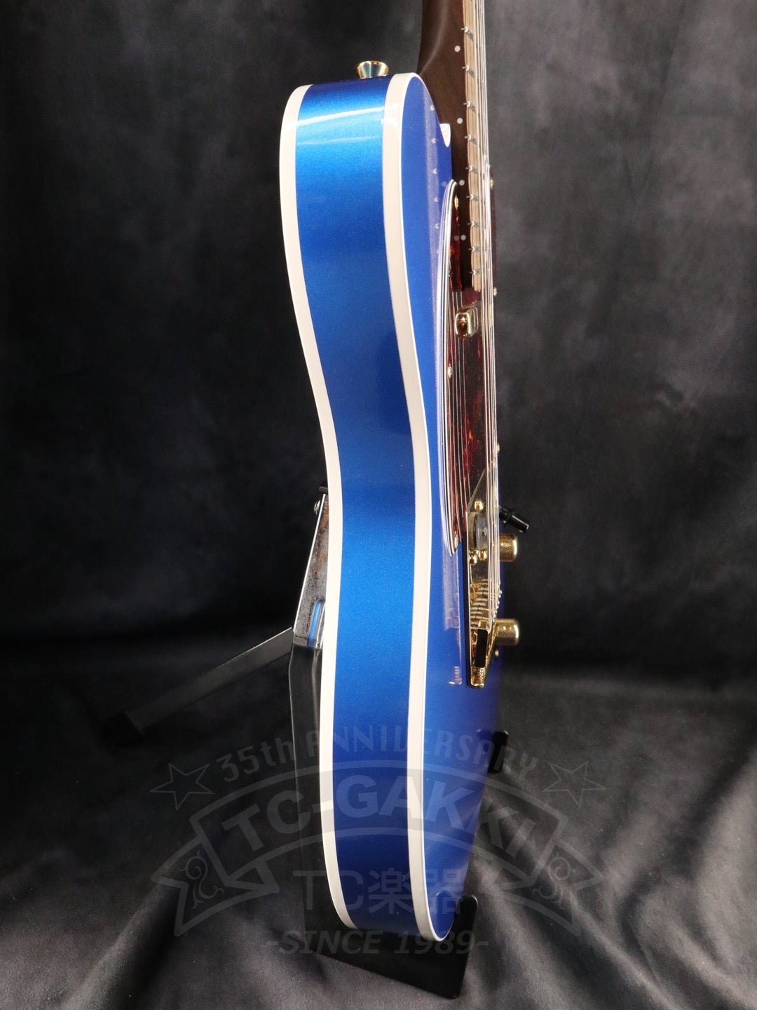 TE-C Rosewood Neck - TC楽器 - TCGAKKI