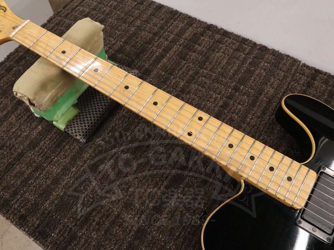 TE Type - TC楽器 - TCGAKKI