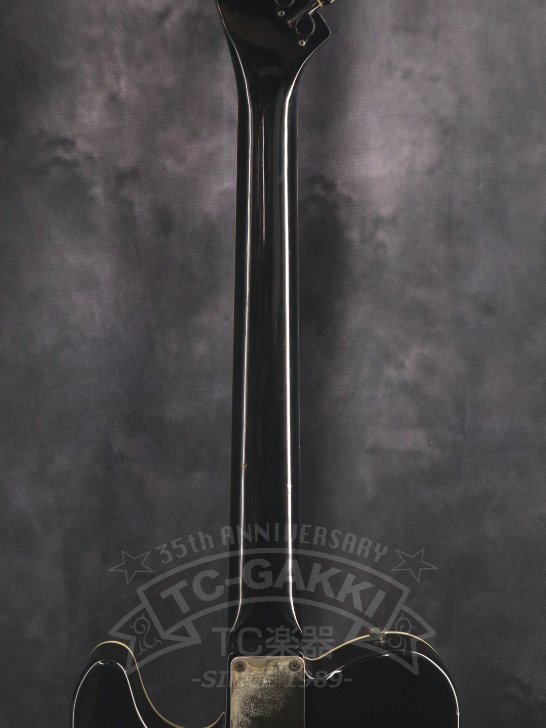 TEJ - STD - TC楽器 - TCGAKKI