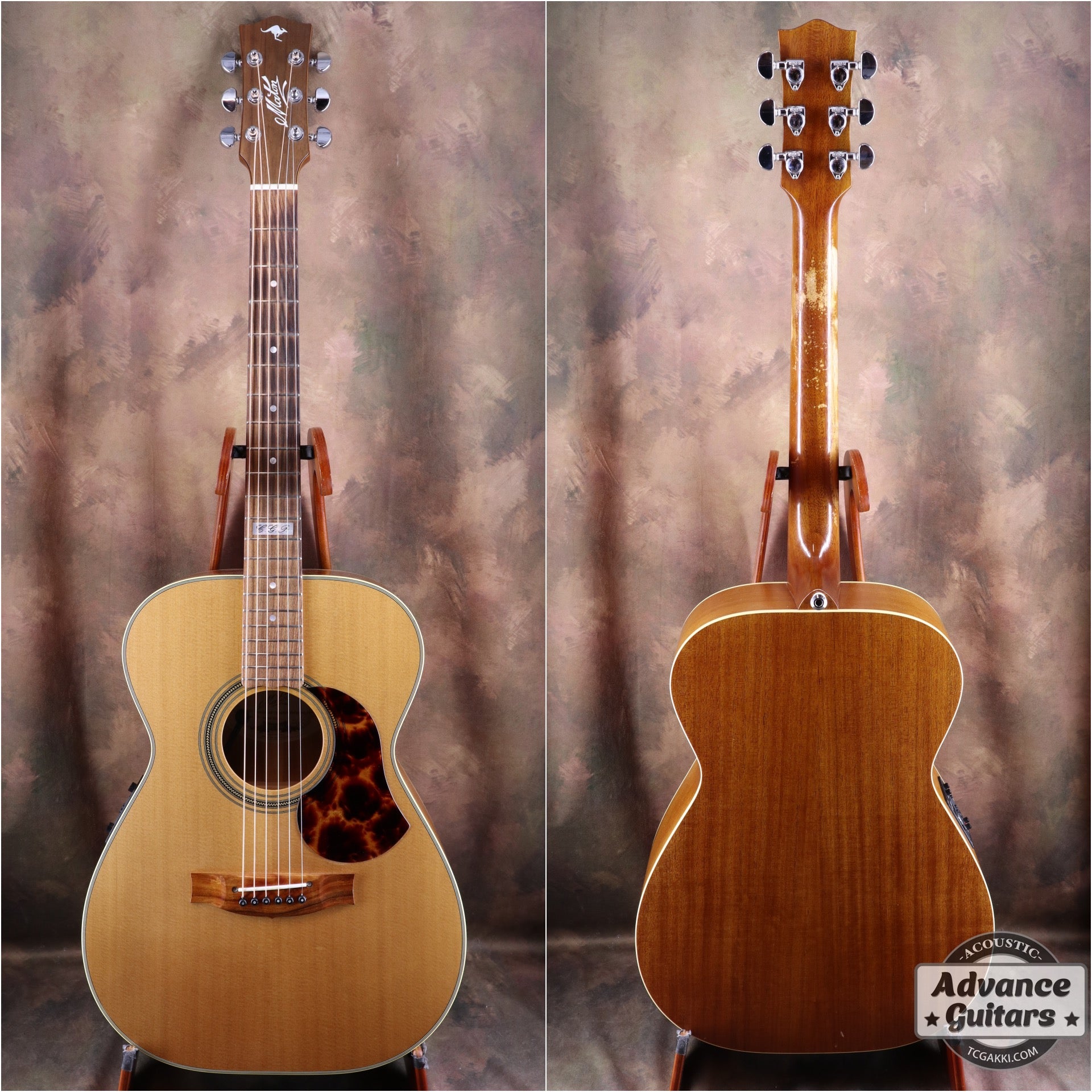 2017年製 EBG808 TE (Tommy EMMANUEZL)