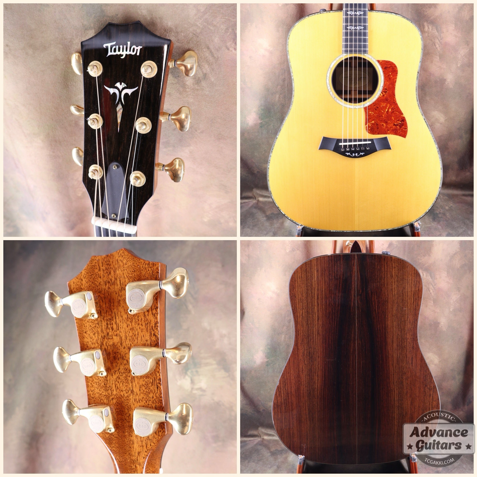 Taylor 2011年製 BTO2011 DNE-ADS/RW