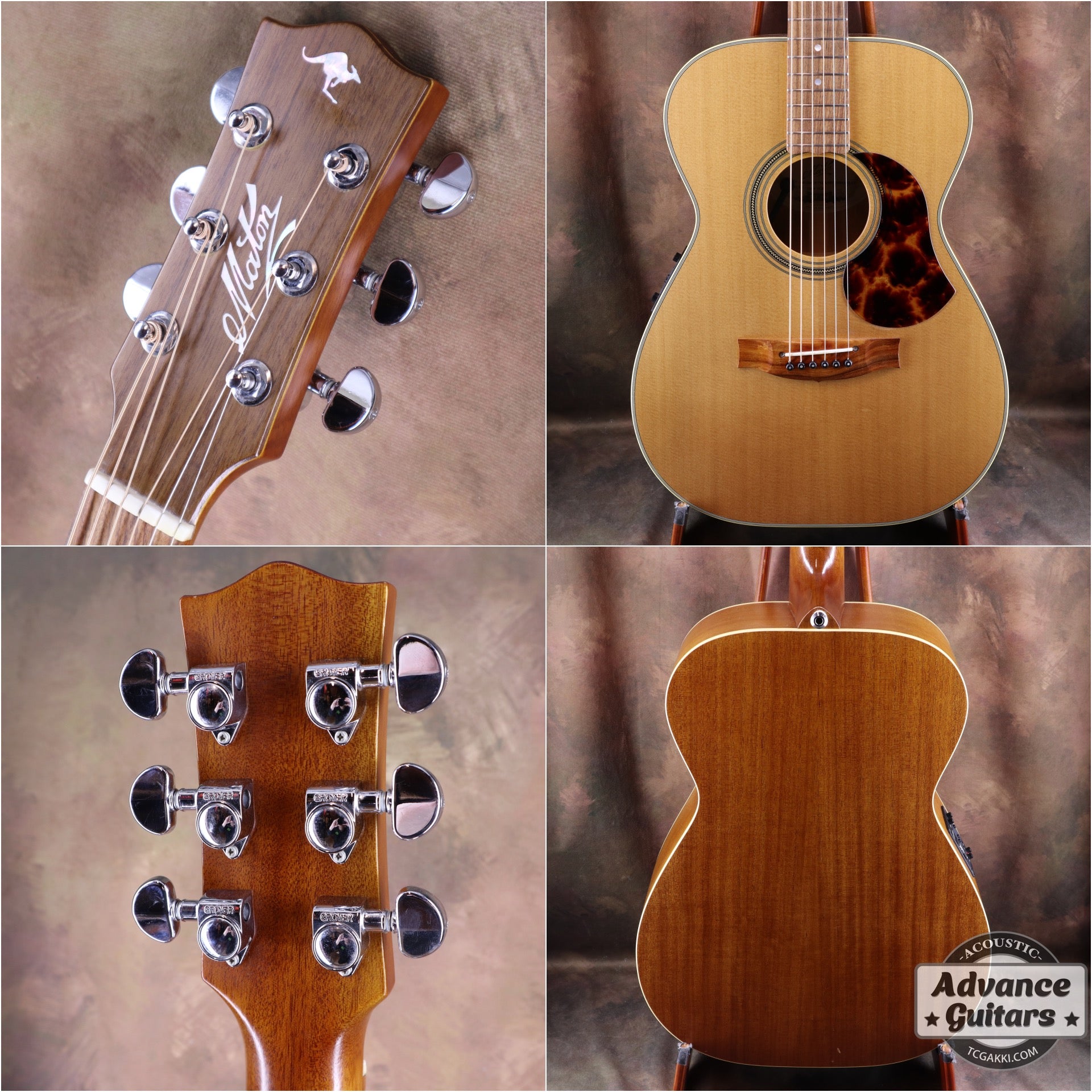 2017年製 EBG808 TE (Tommy EMMANUEZL)