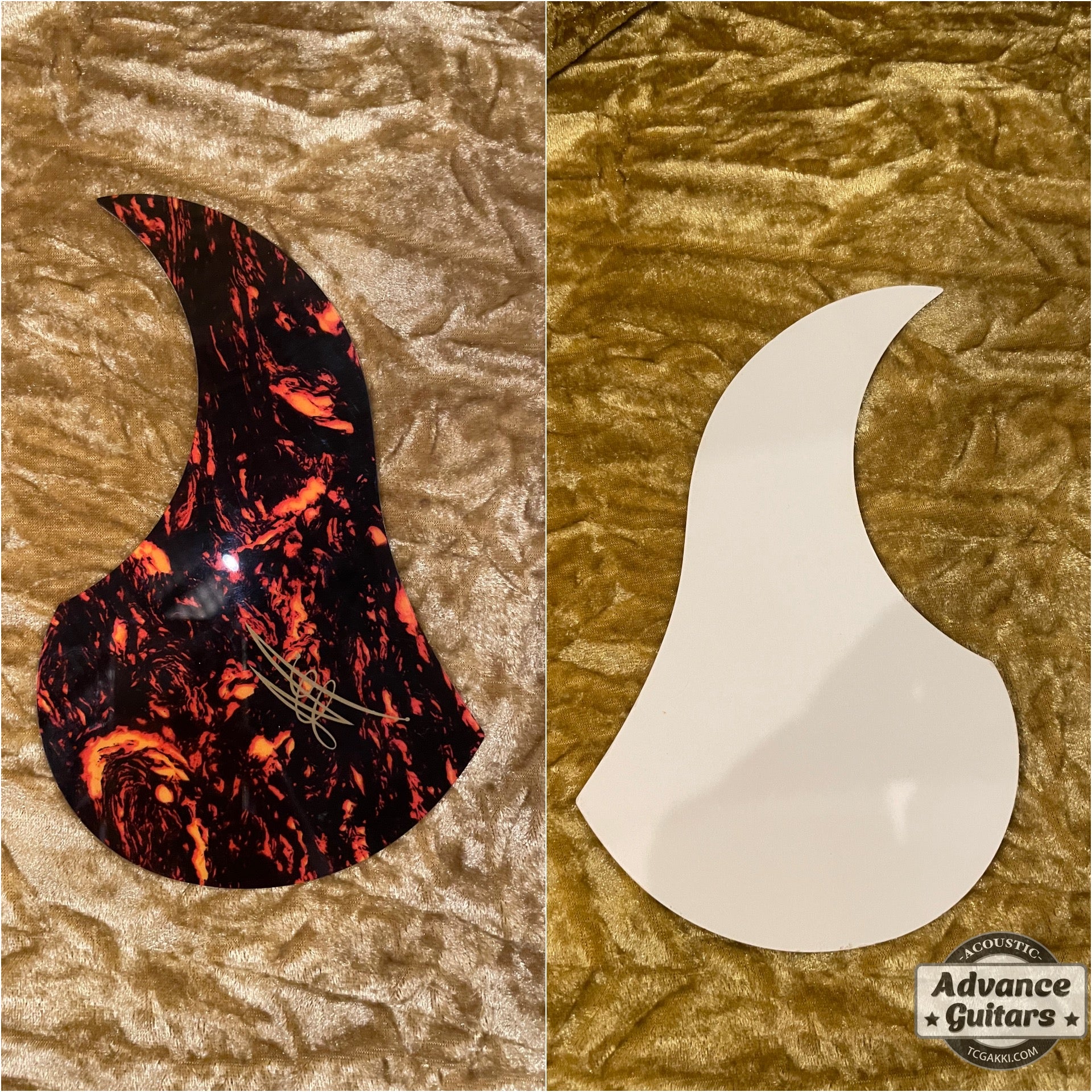 2017年製 EBG808 TE (Tommy EMMANUEZL)