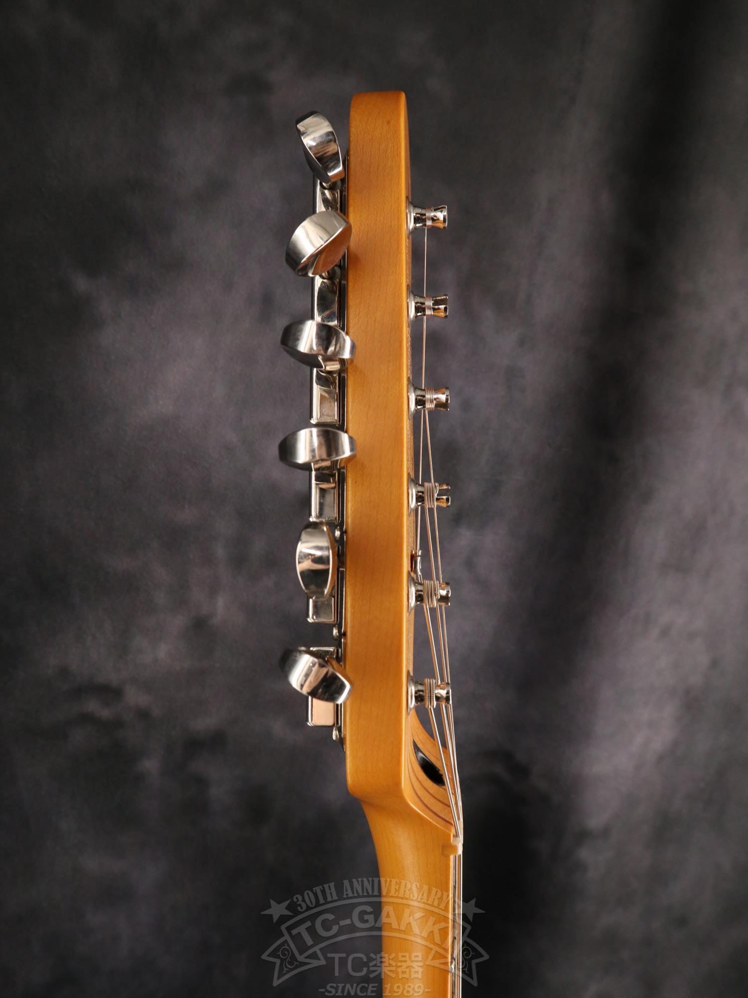 Fender MIJ LTD Cyclone