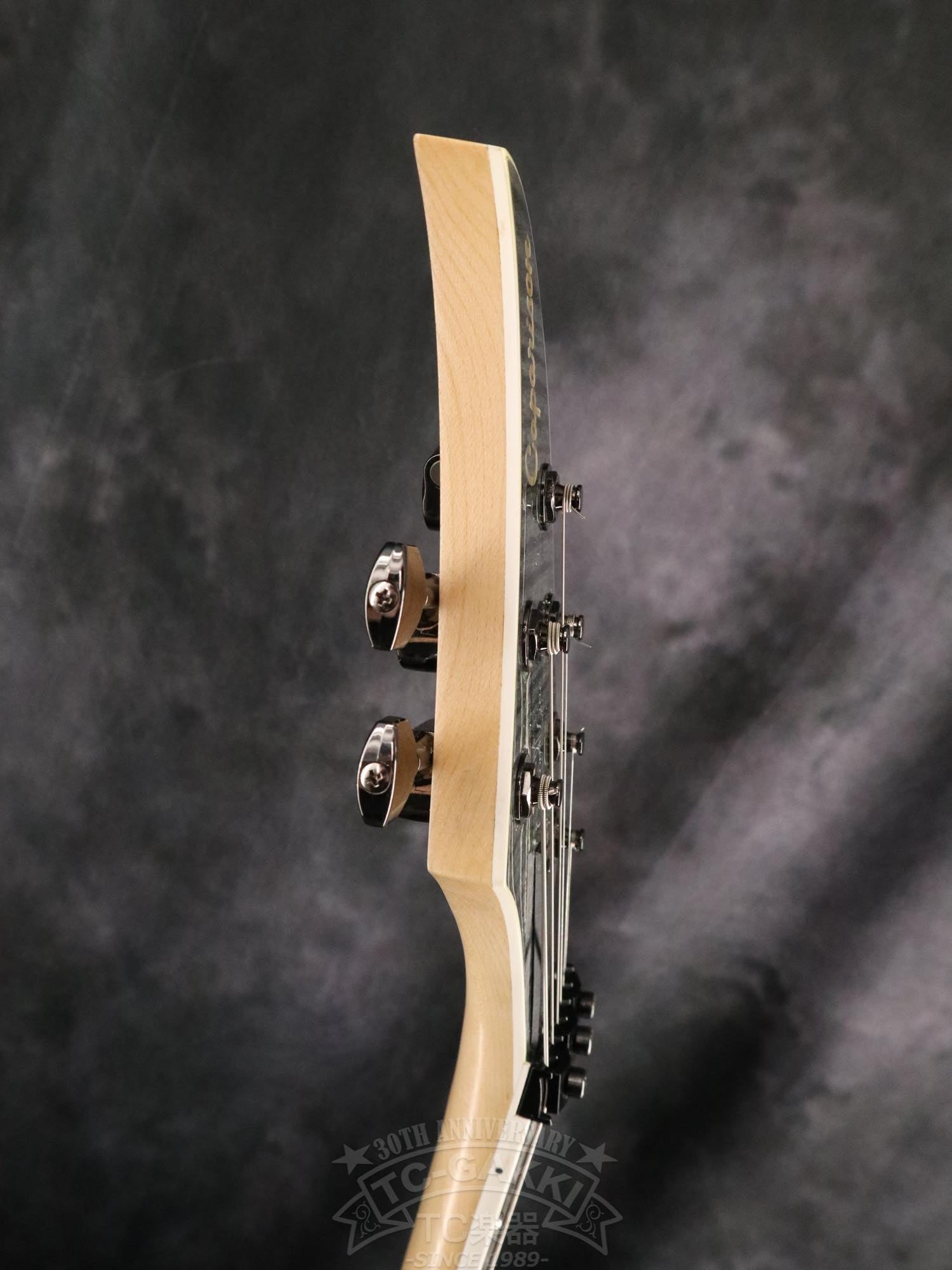 Caparison Custom Line  Dellinger CL12