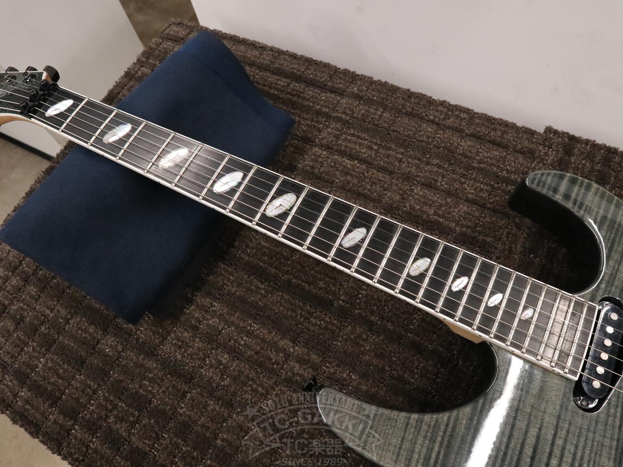Caparison Custom Line  Dellinger CL12