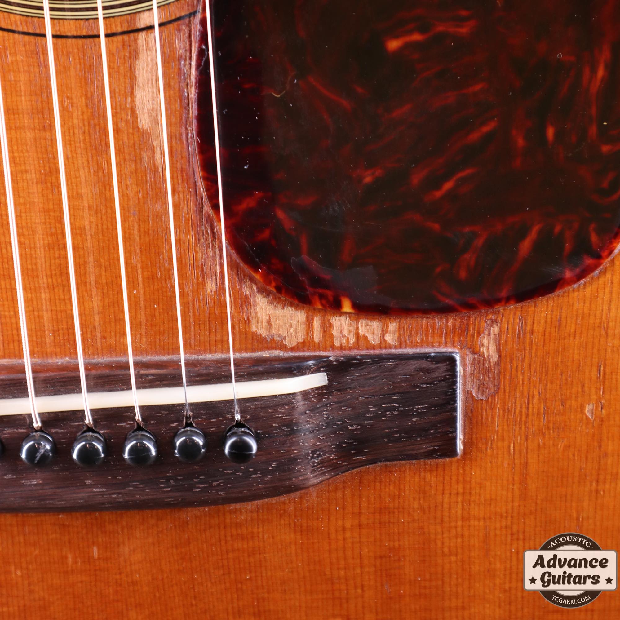 Mahogany Roaring] 1960 D-18