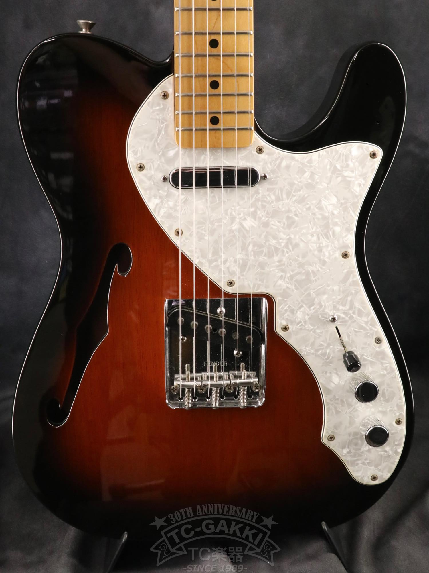 Fender Mexico 1969 Telecaster Thinline