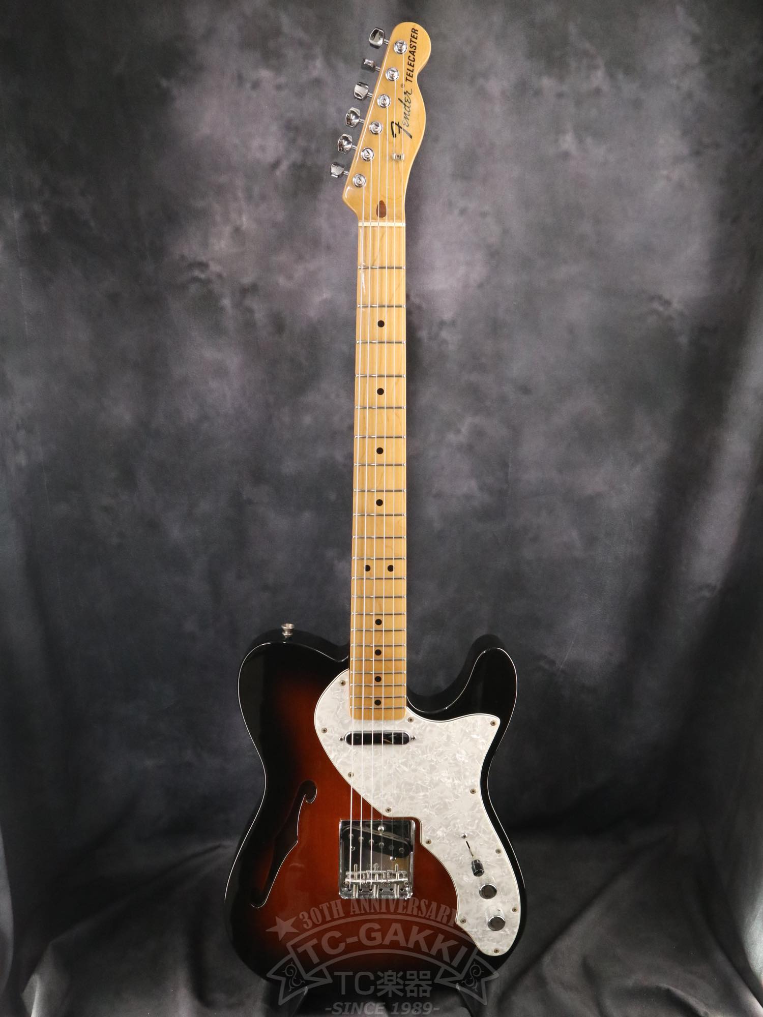 Fender Mexico 1969 Telecaster Thinline