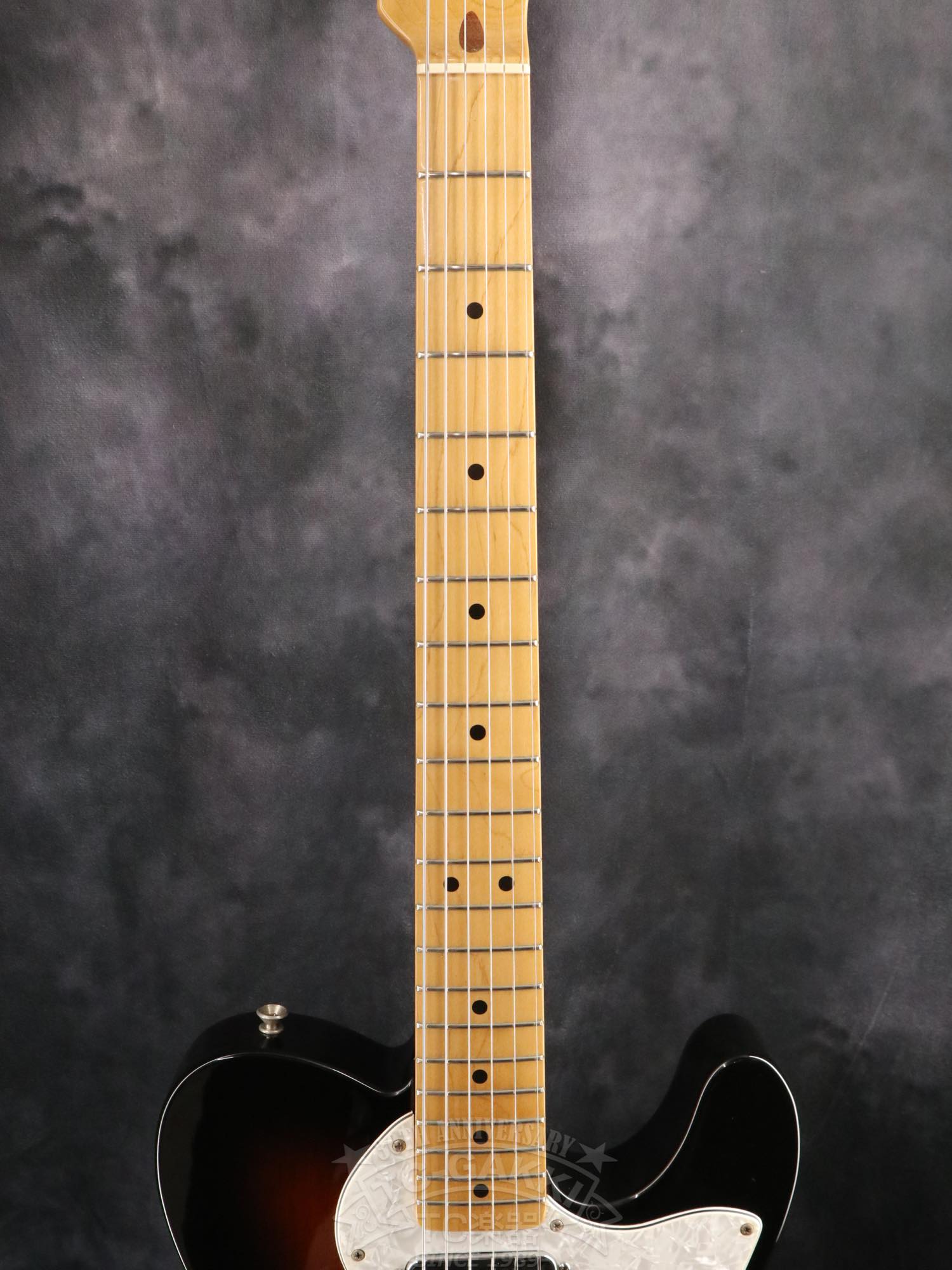 Fender Mexico 1969 Telecaster Thinline