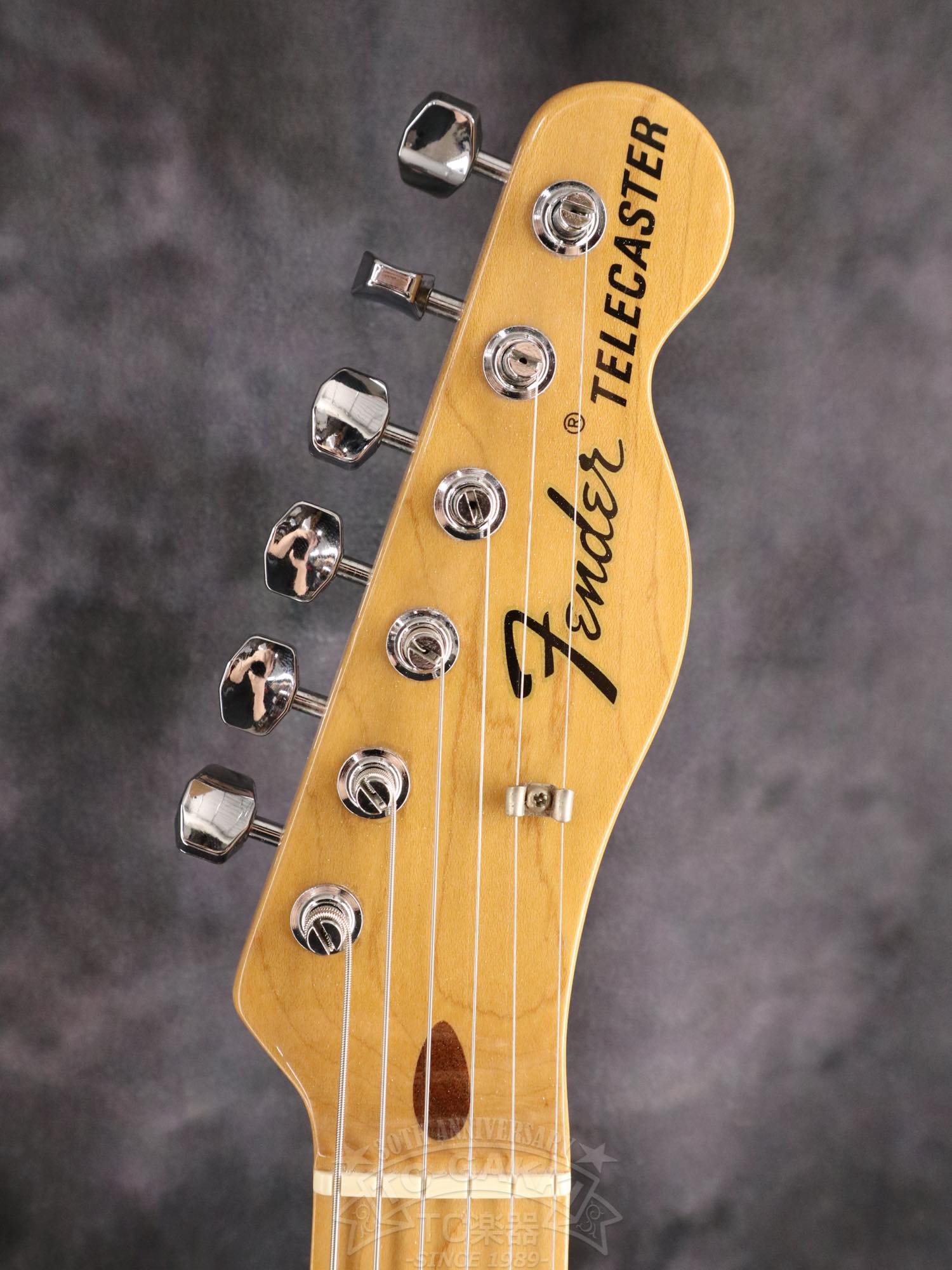 Fender Mexico 1969 Telecaster Thinline
