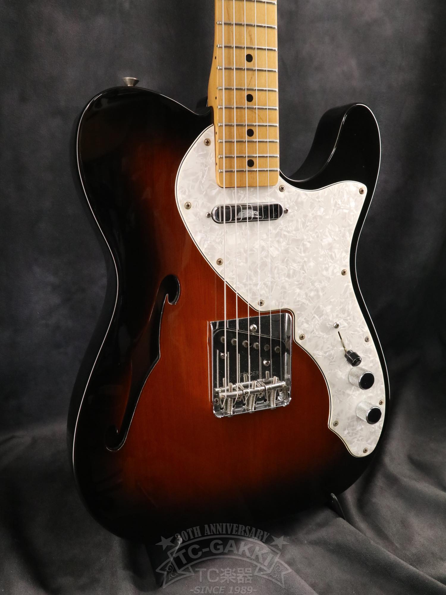 Fender Mexico 1969 Telecaster Thinline