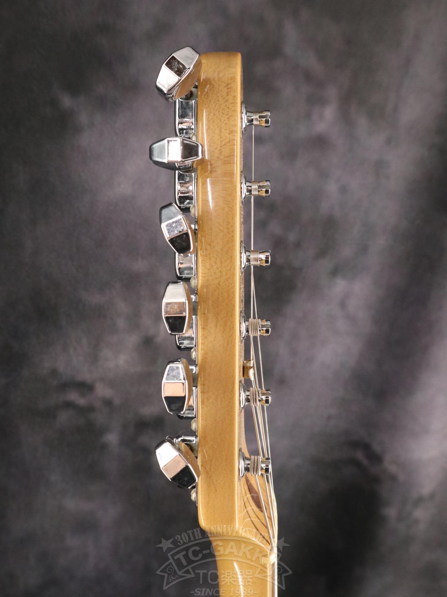 Fender Mexico 1969 Telecaster Thinline