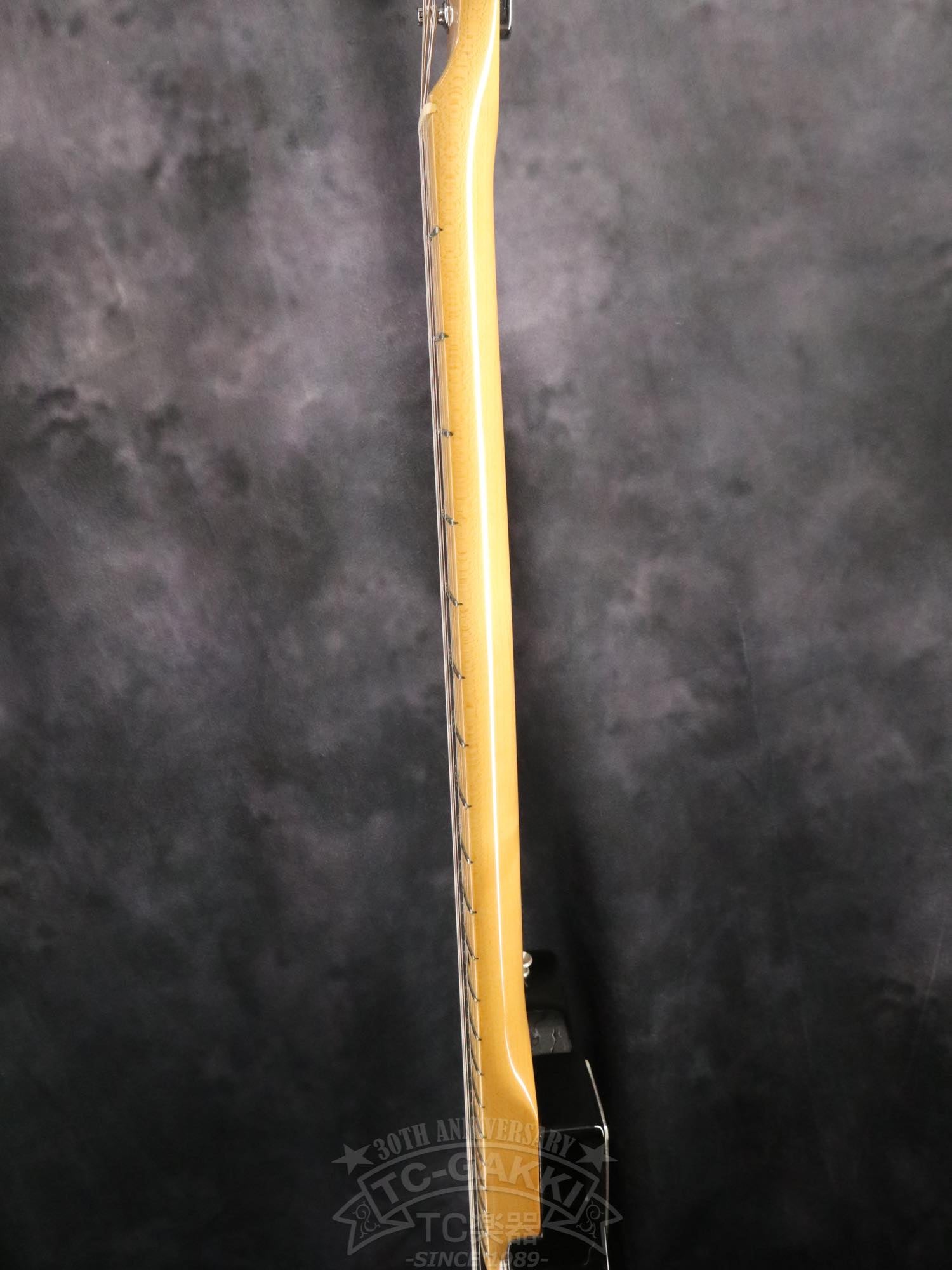Fender Mexico 1969 Telecaster Thinline