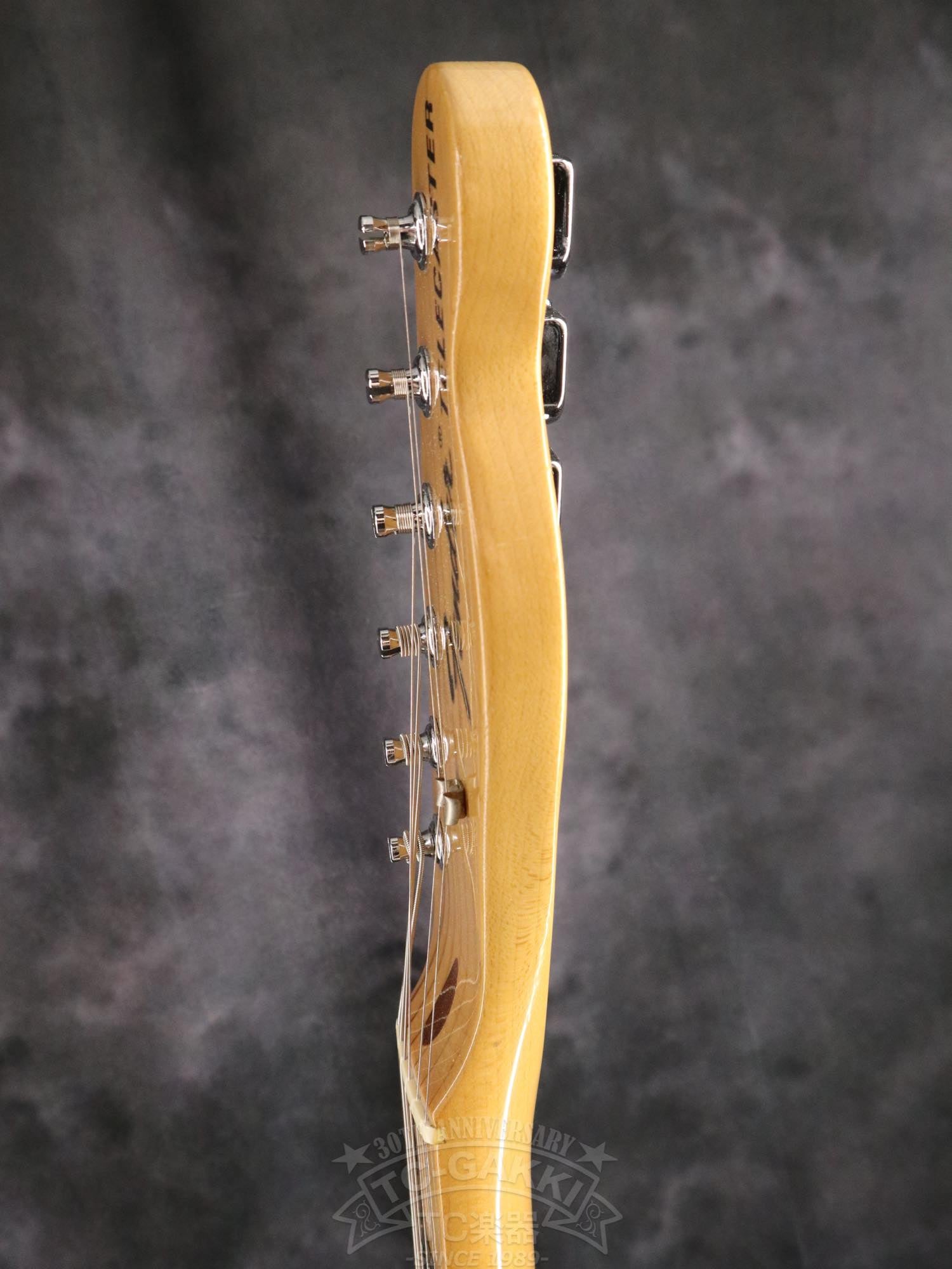 Fender Mexico 1969 Telecaster Thinline