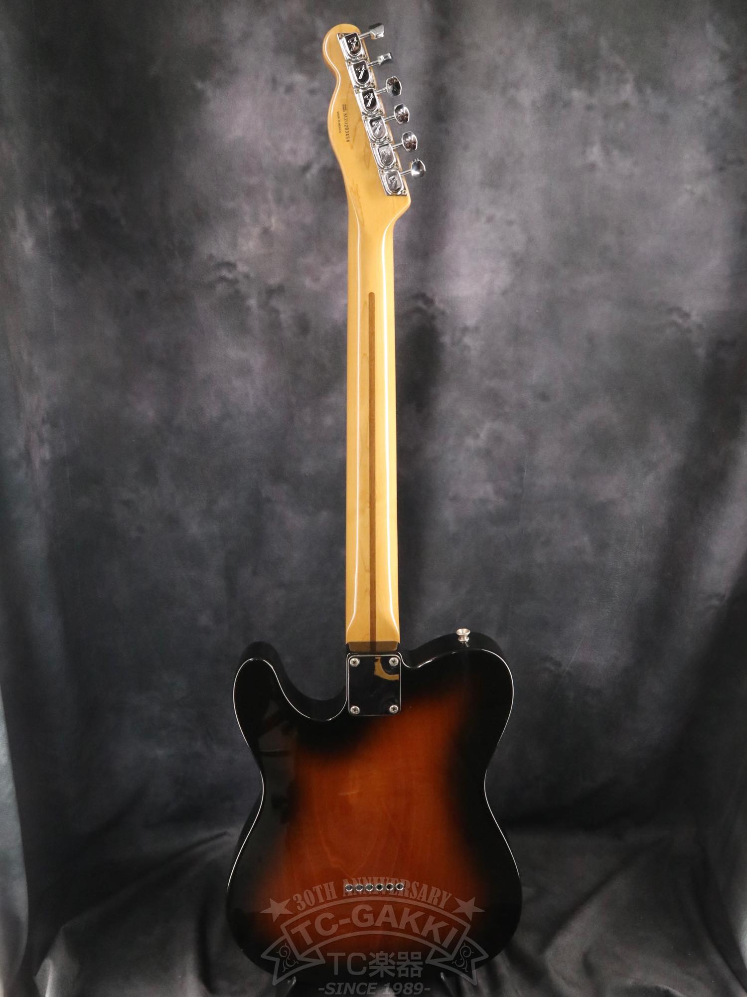 Fender Mexico 1969 Telecaster Thinline