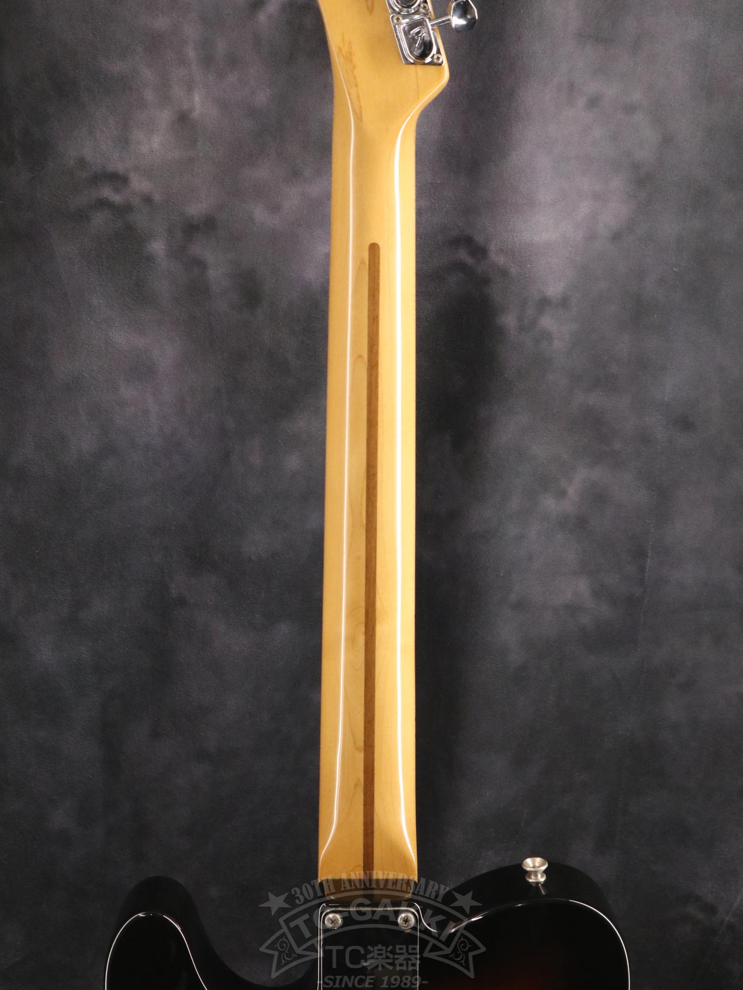 Fender Mexico 1969 Telecaster Thinline