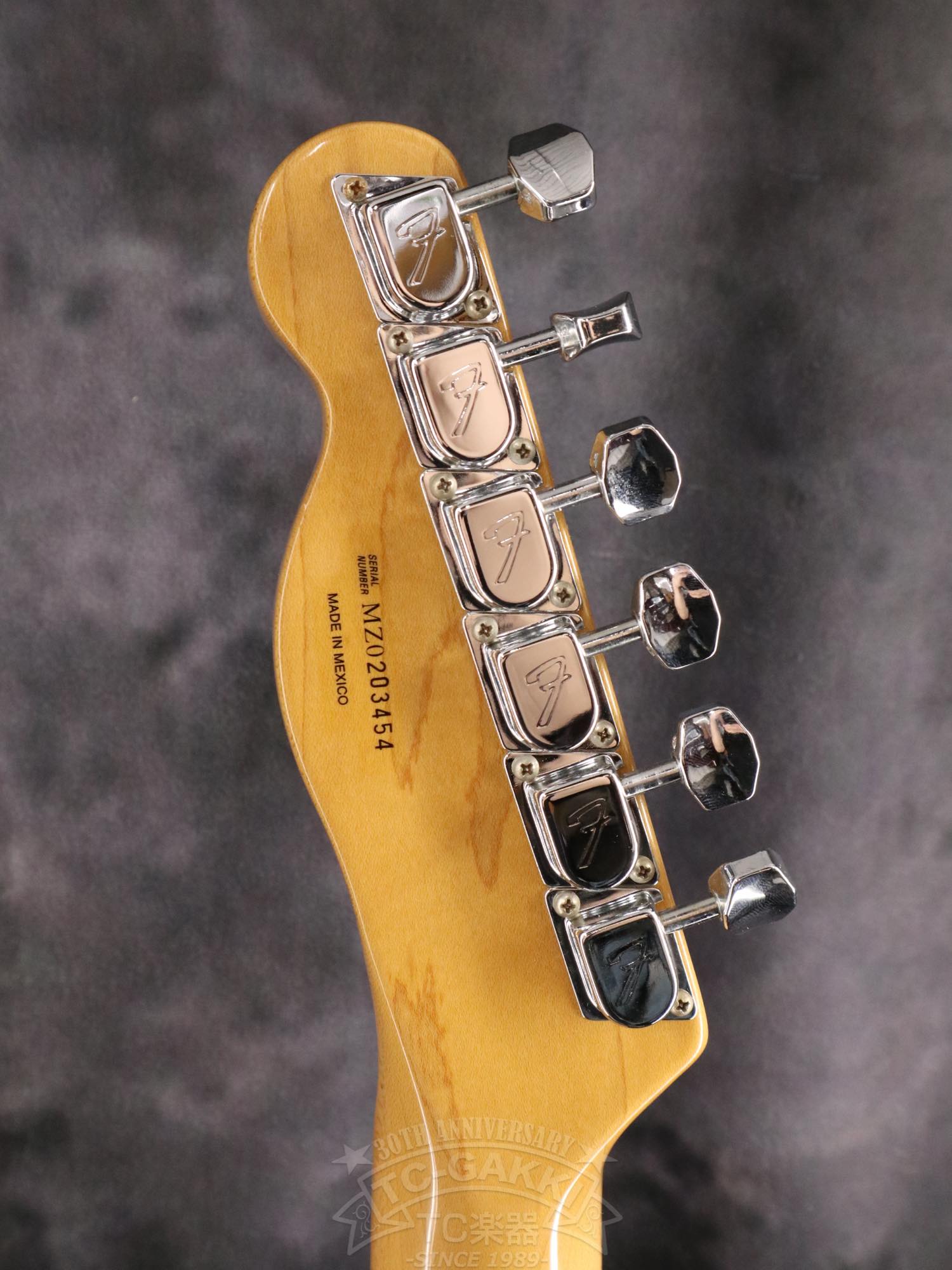 Fender Mexico 1969 Telecaster Thinline