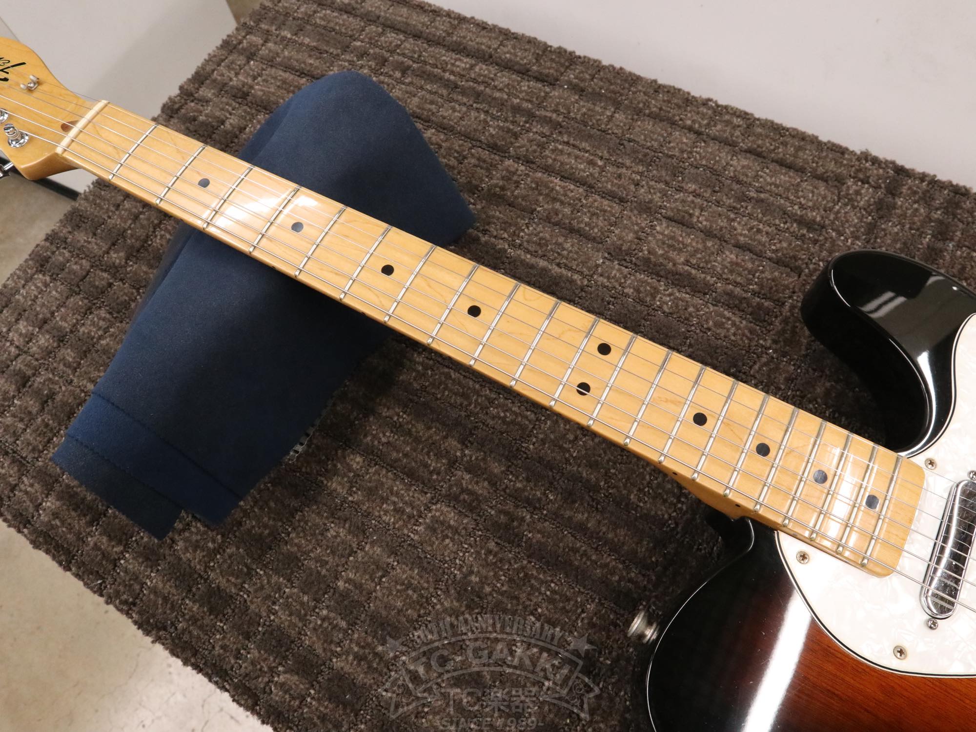 Fender Mexico 1969 Telecaster Thinline