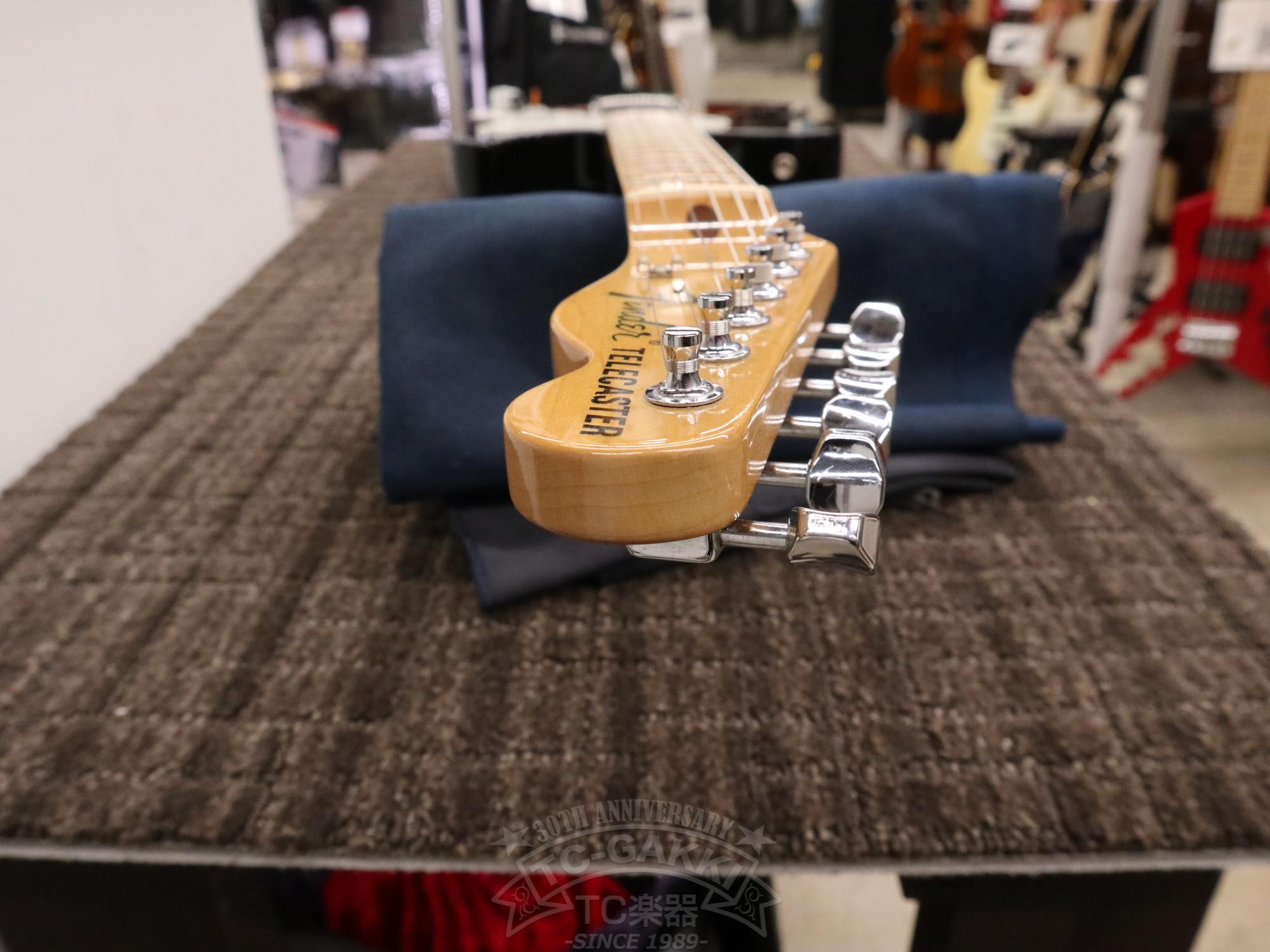 Fender Mexico 1969 Telecaster Thinline