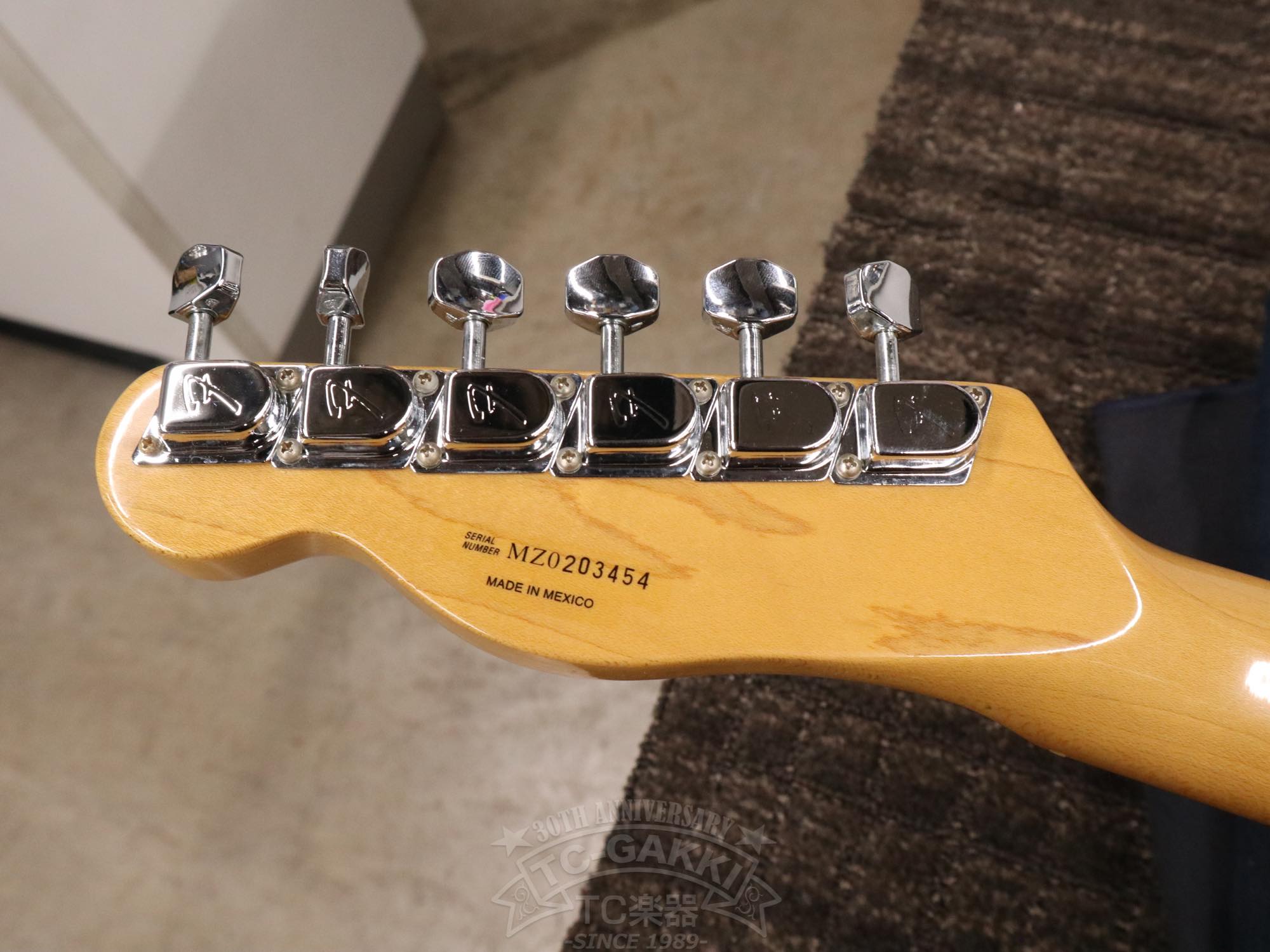 Fender Mexico 1969 Telecaster Thinline