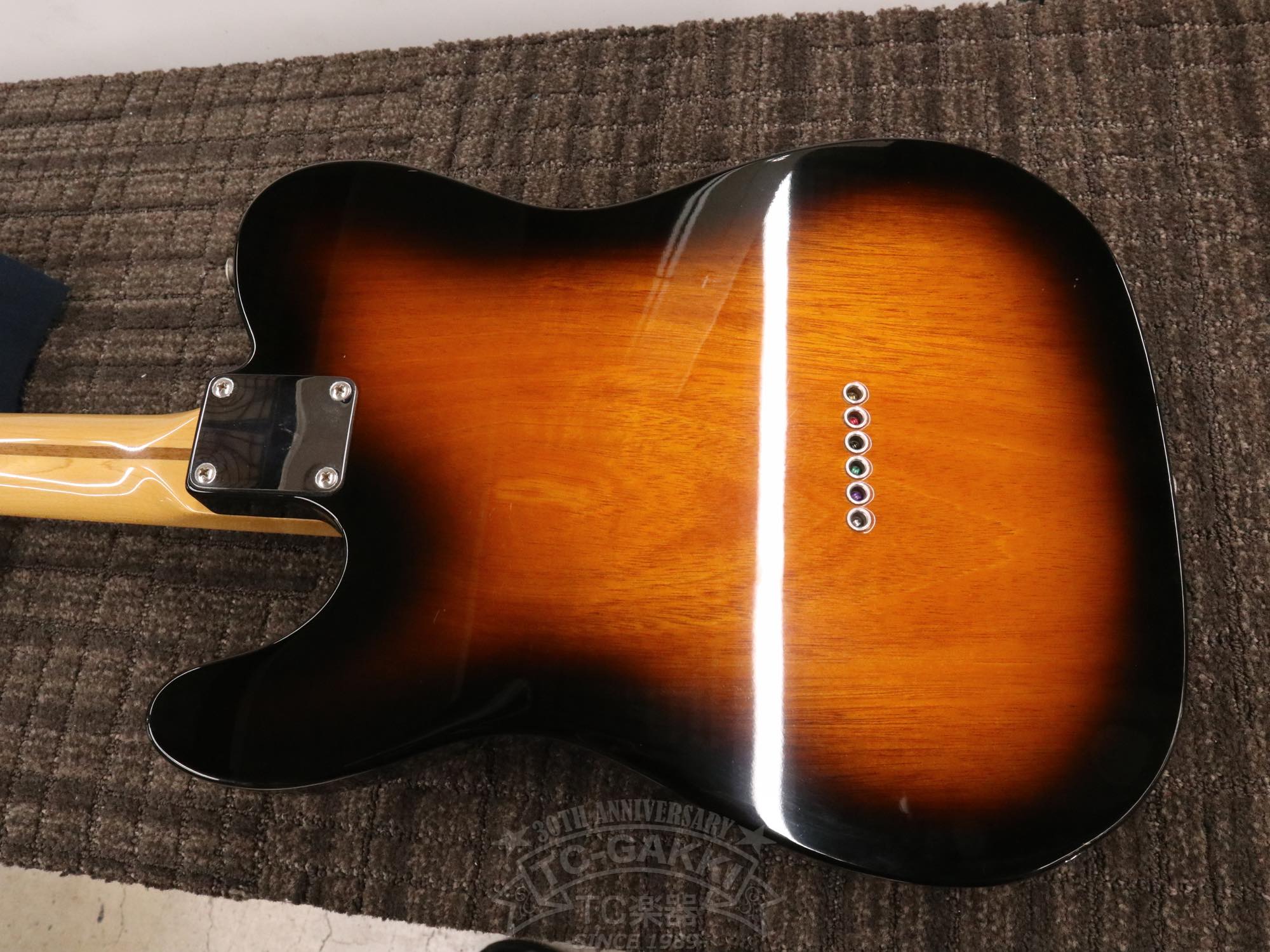 Fender Mexico 1969 Telecaster Thinline