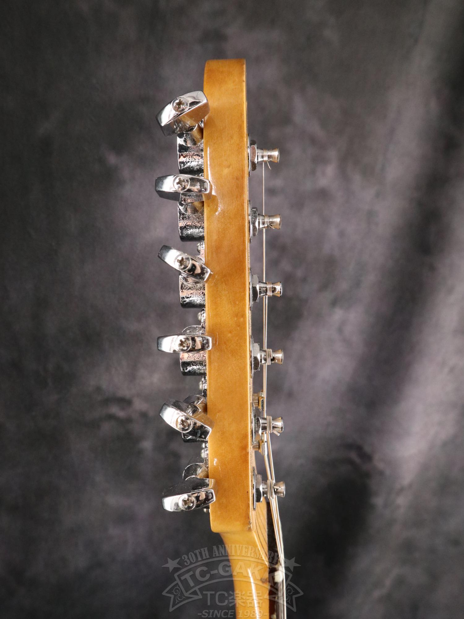YAMAHA SC1000