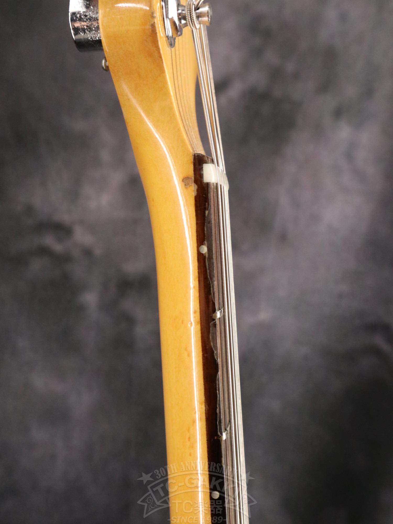YAMAHA SC1000