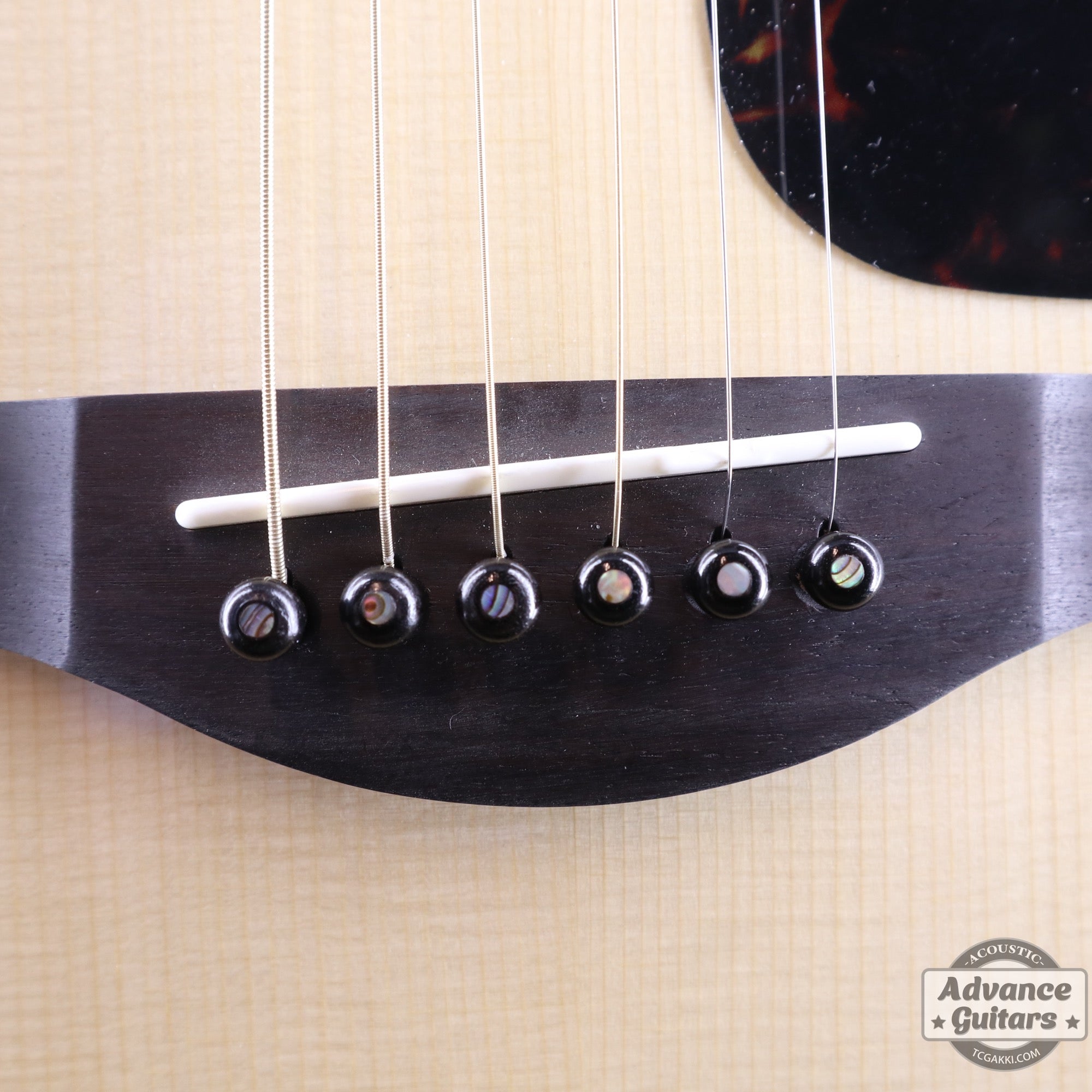 Preciso  Wood Bridge Pin & End Pin Set（Ebony & Abalone Dot）