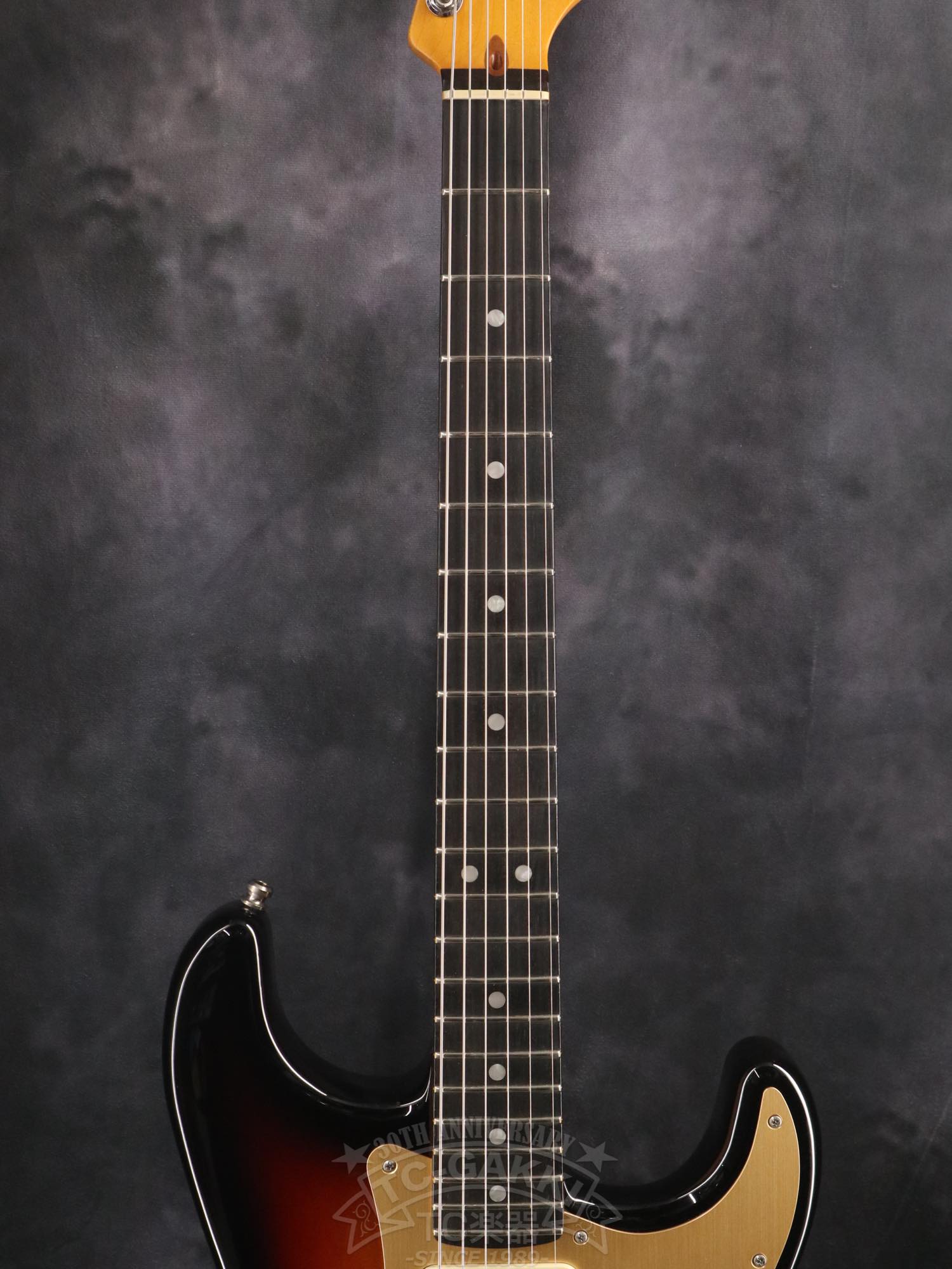 Fender USA American Ultra II Stratocaster