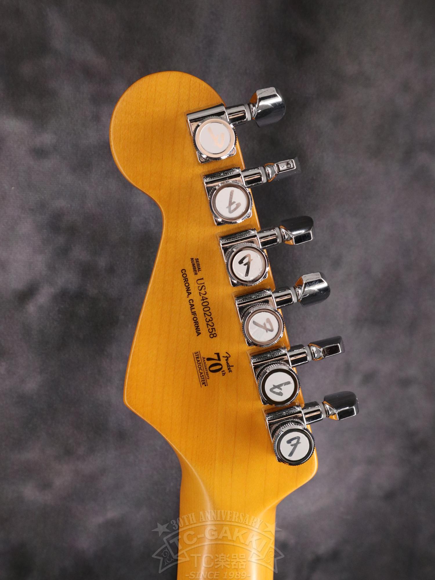 Fender USA American Ultra II Stratocaster