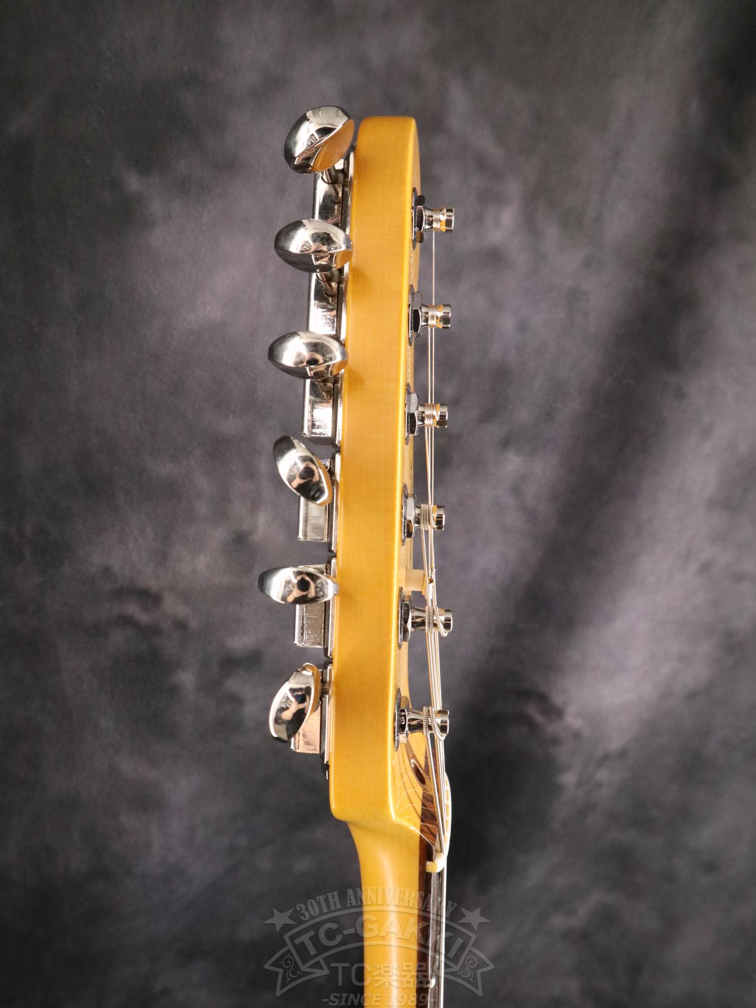Fender USA American Professional Classic Stratocaster