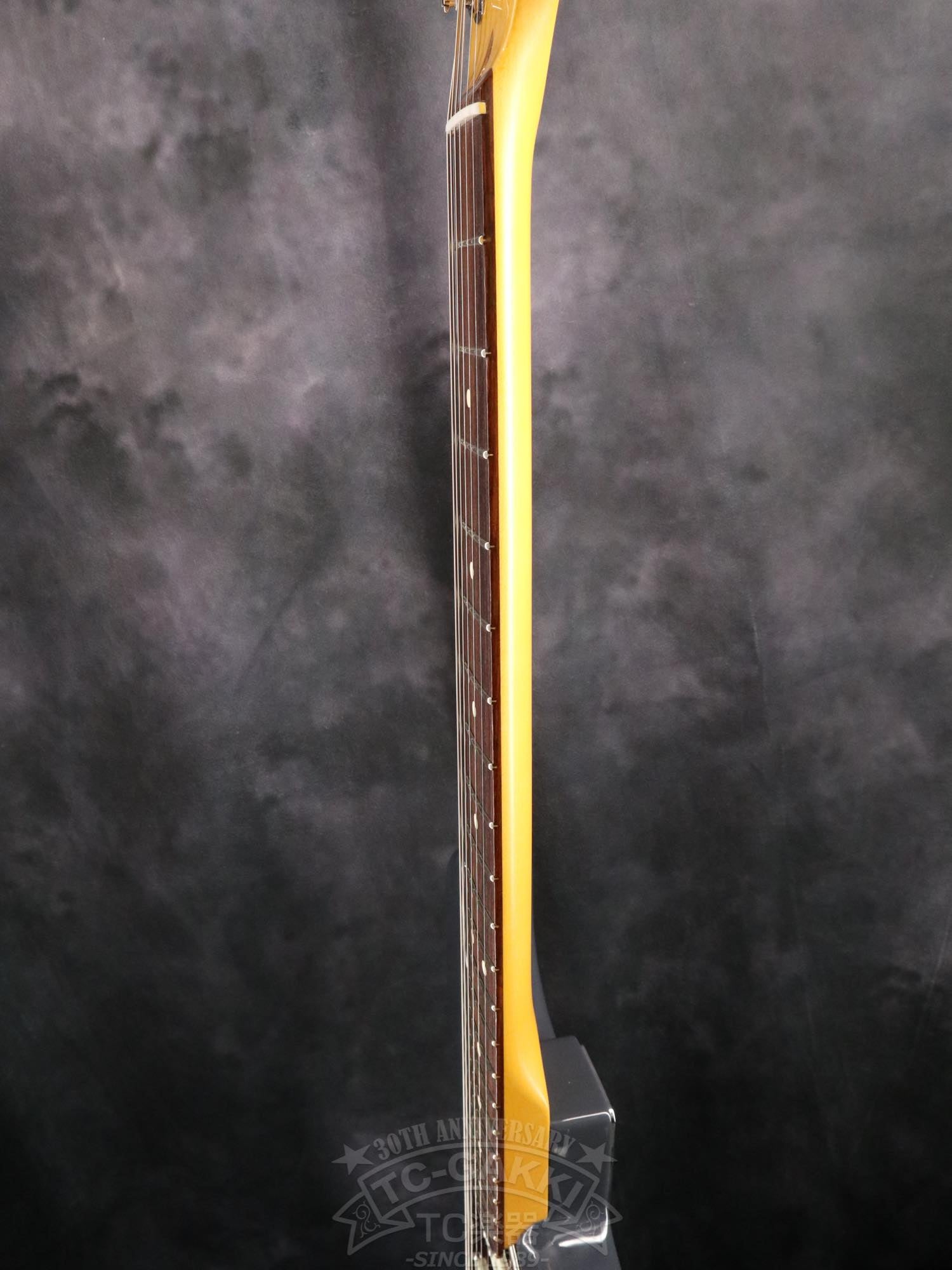 Fender USA American Professional Classic Stratocaster