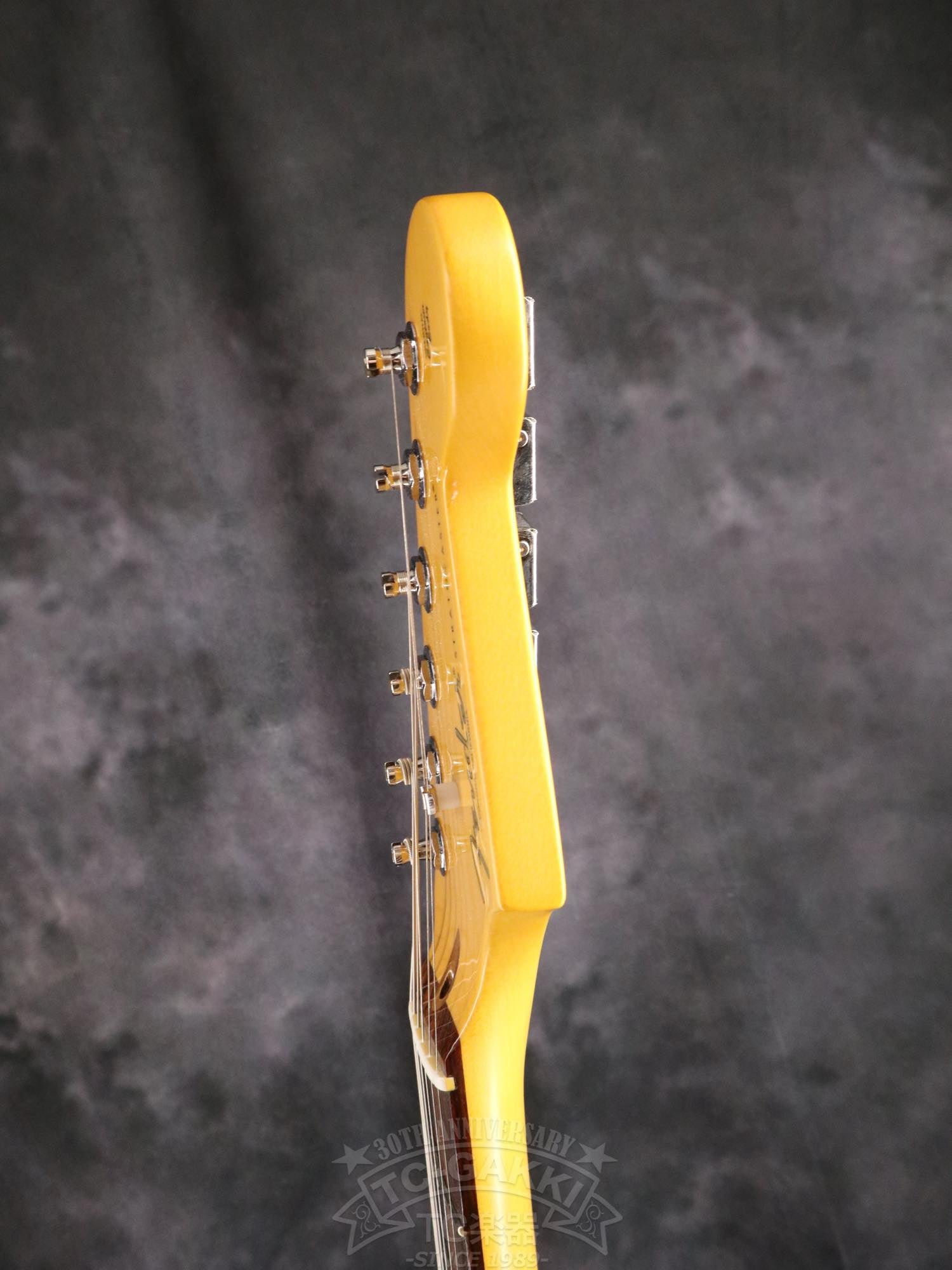 Fender USA American Professional Classic Stratocaster