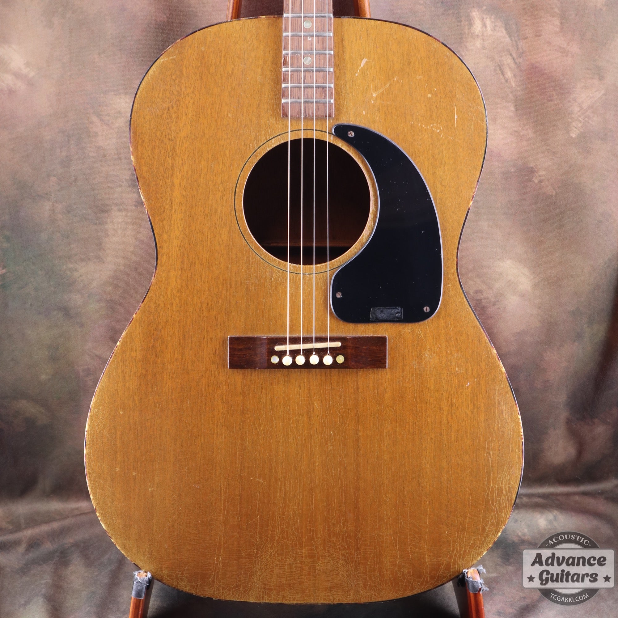 Gibson 1965年製 TG-0　