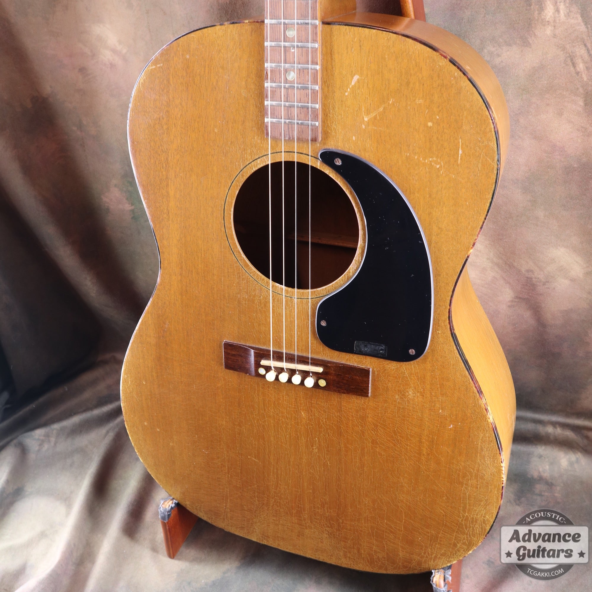 Gibson 1965年製 TG-0　