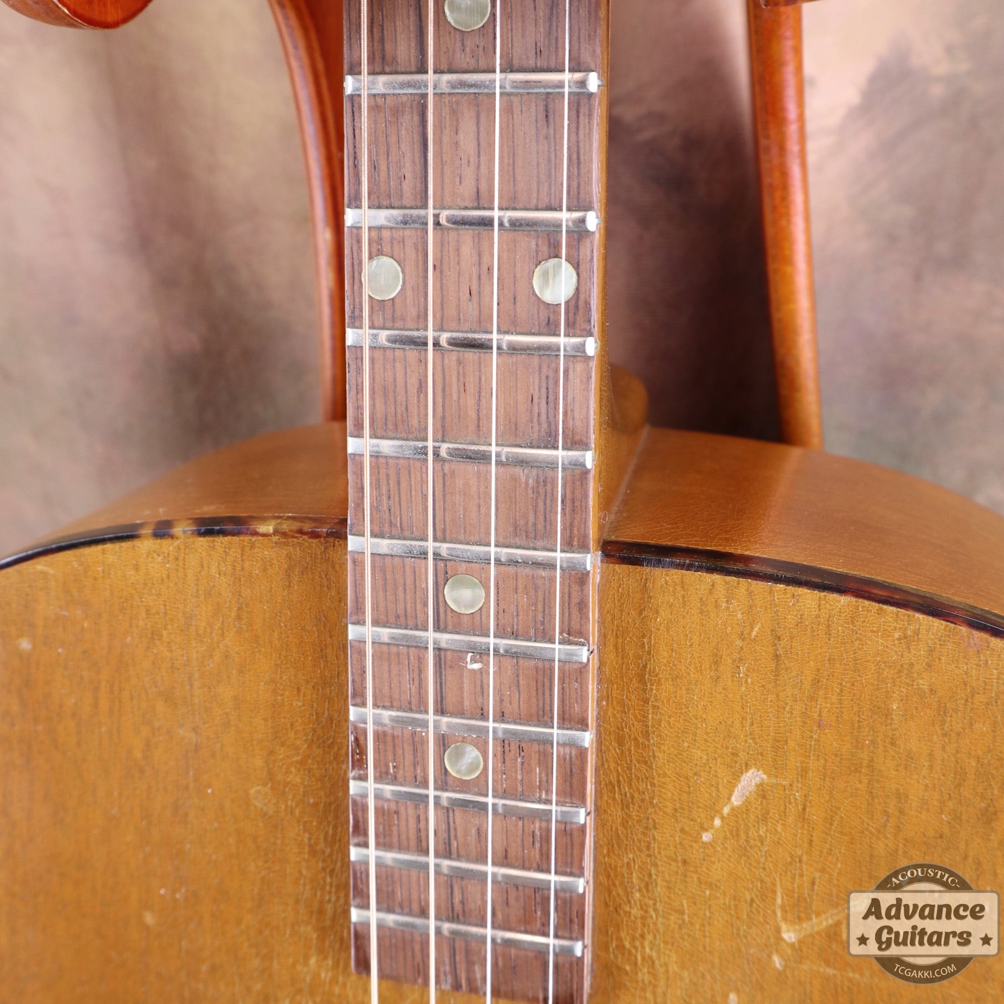 Gibson 1965年製 TG-0　
