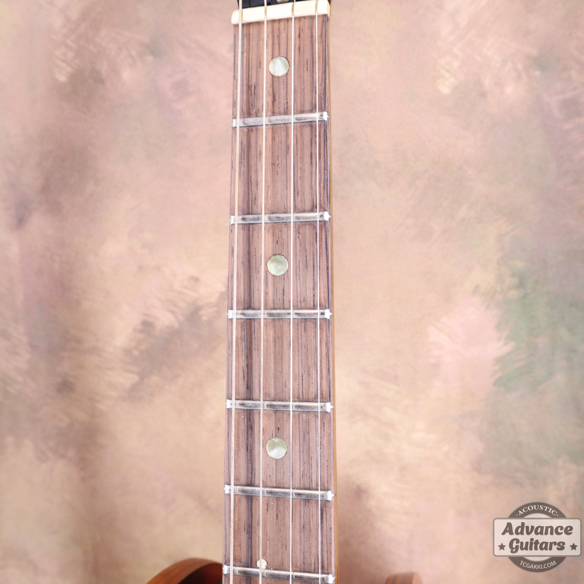 Gibson 1965年製 TG-0　