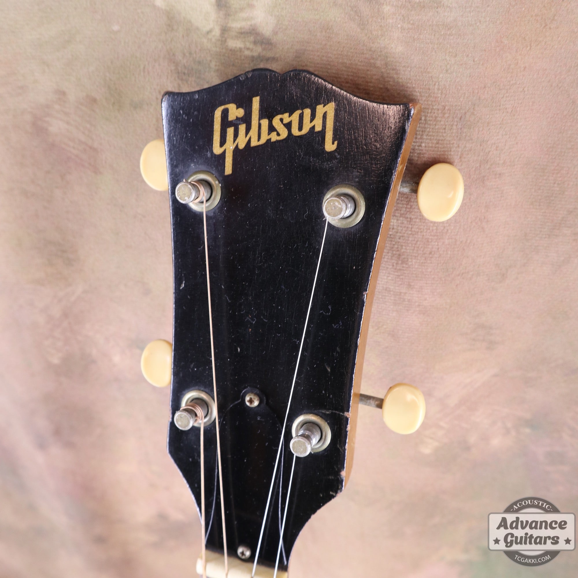 Gibson 1965年製 TG-0　