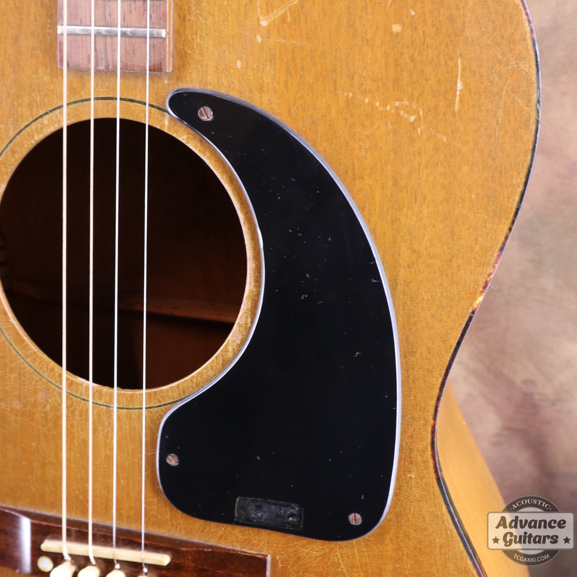 Gibson 1965年製 TG-0　