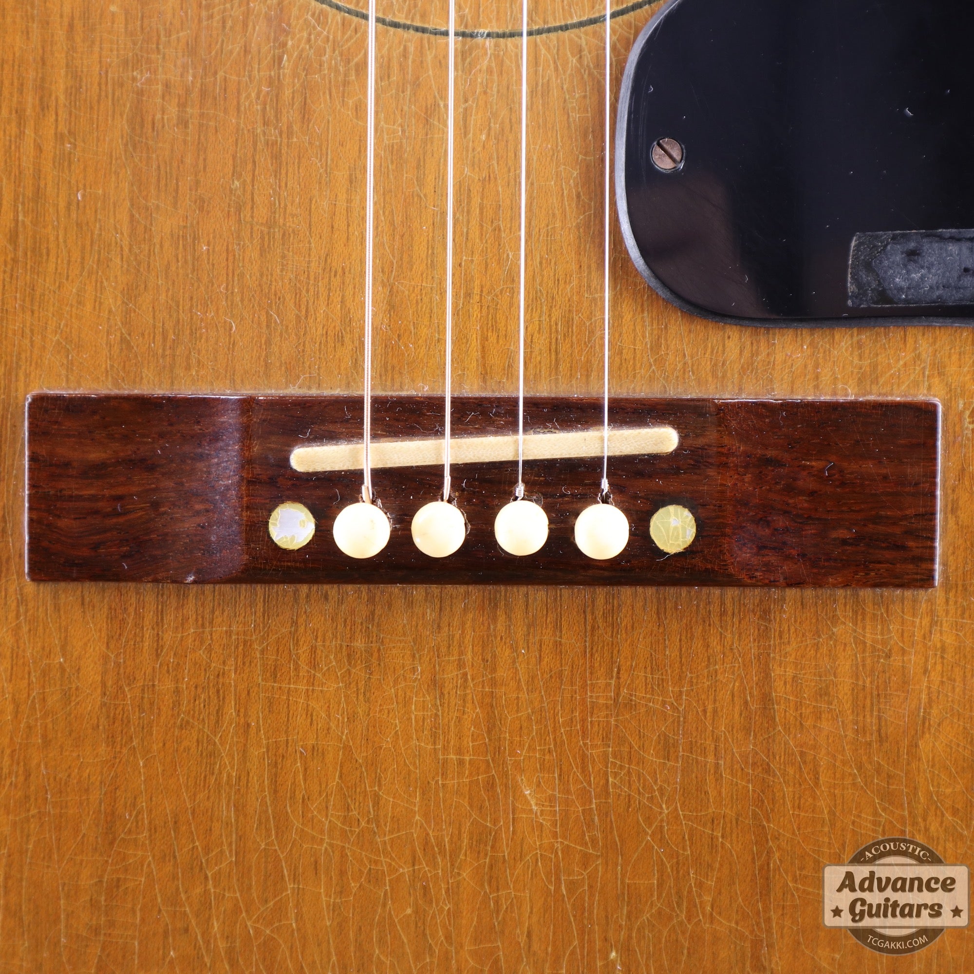 Gibson 1965年製 TG-0　