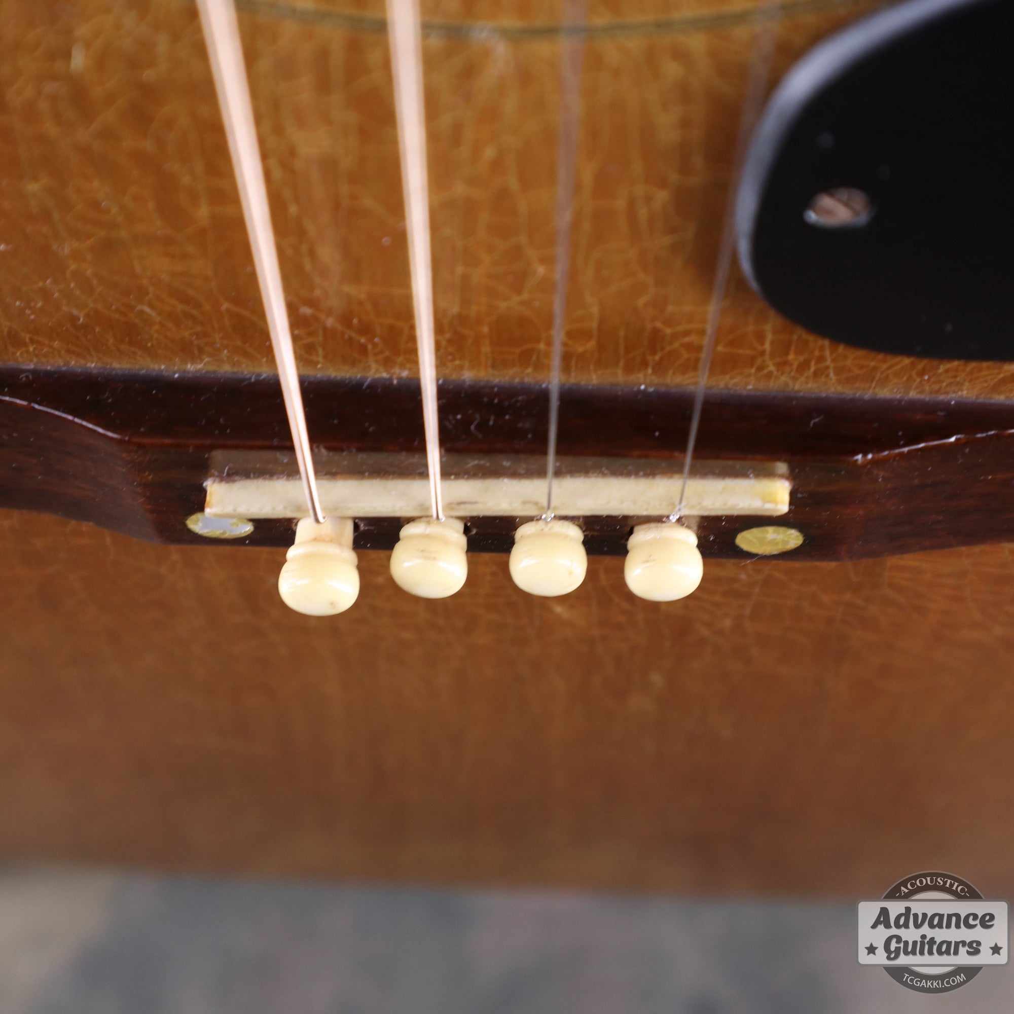 Gibson 1965年製 TG-0　