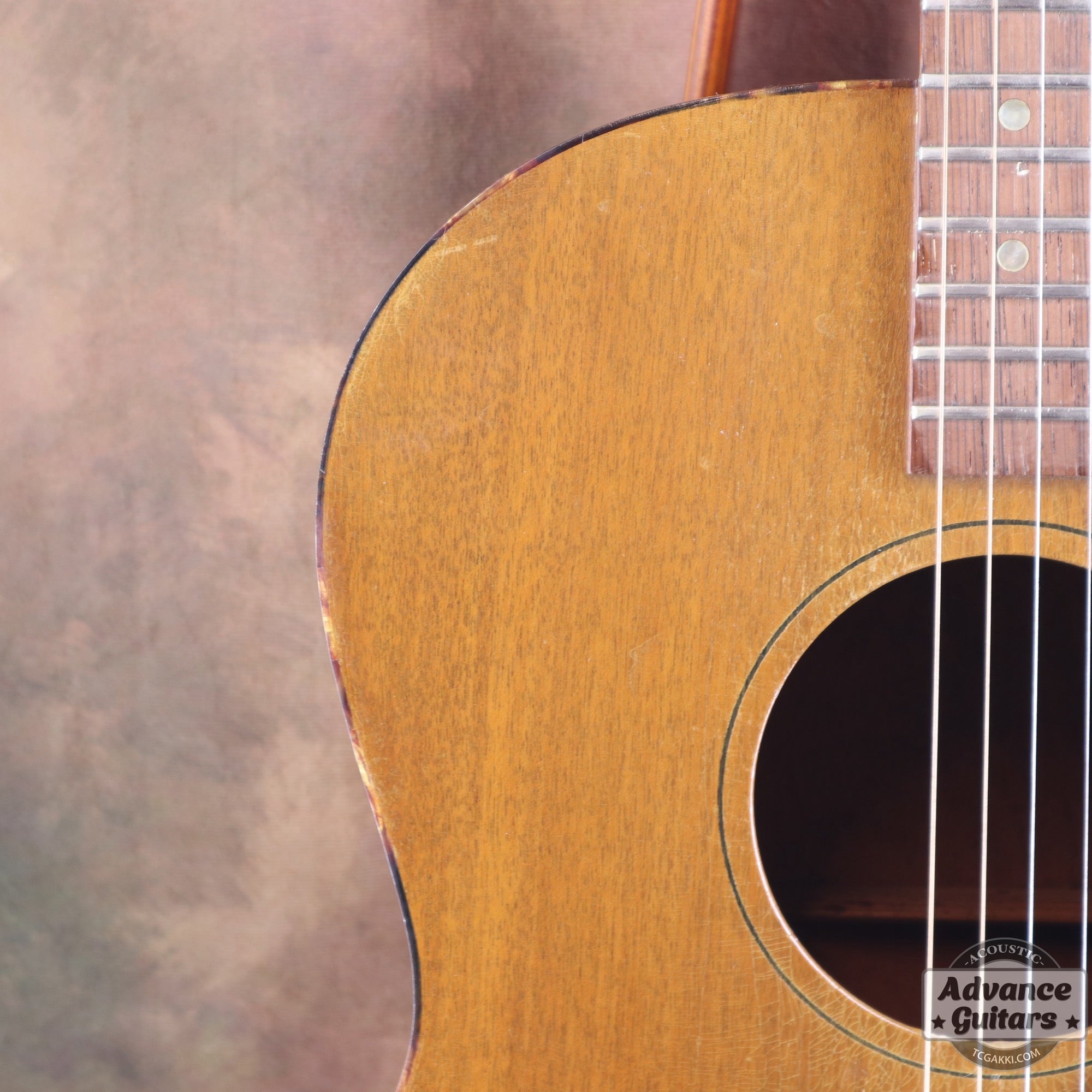 Gibson 1965年製 TG-0　