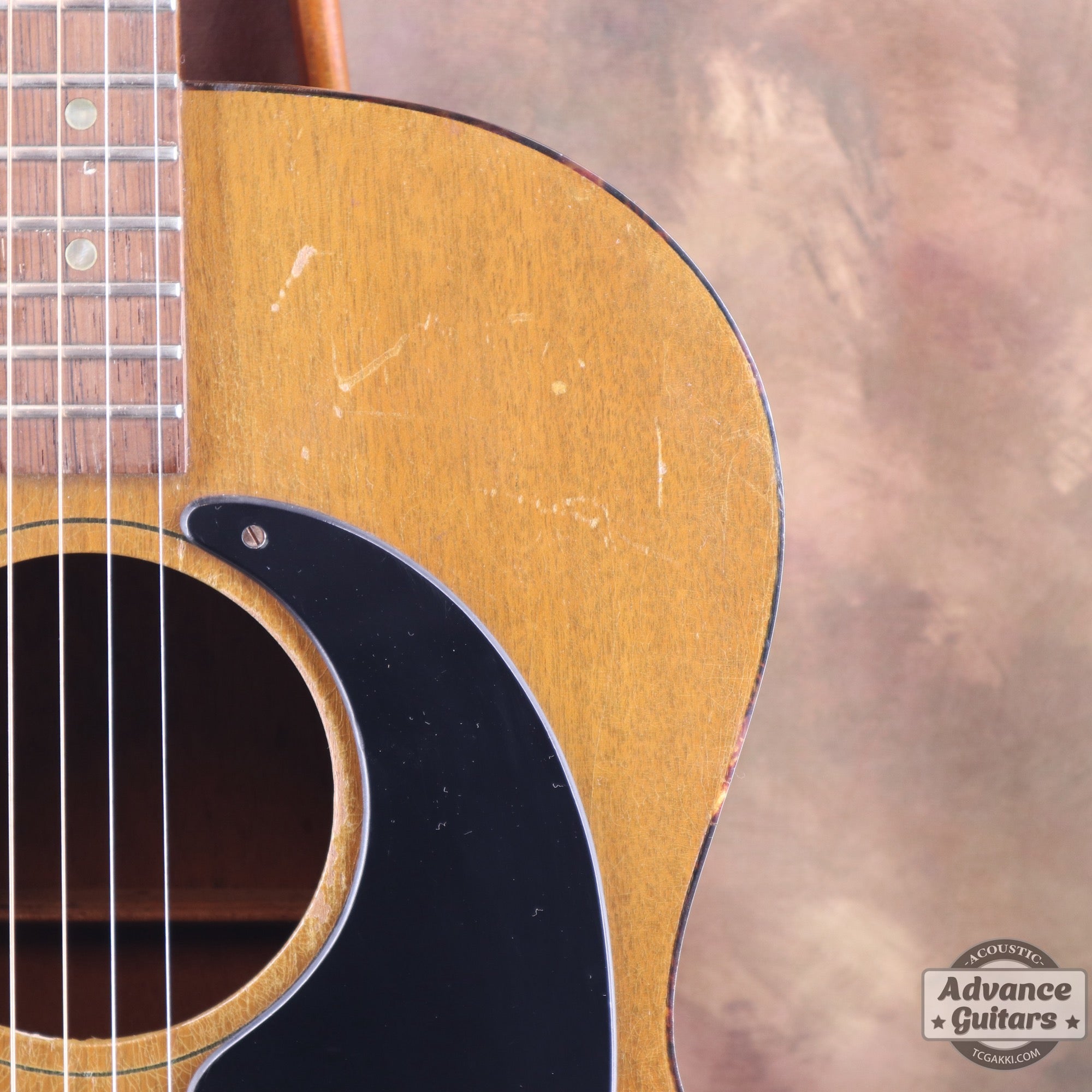Gibson 1965年製 TG-0　